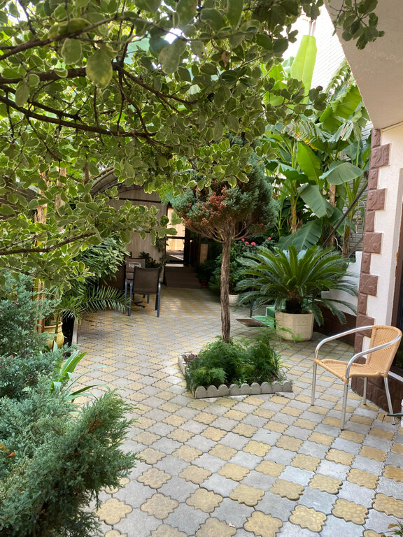 Фото Олимпия 2