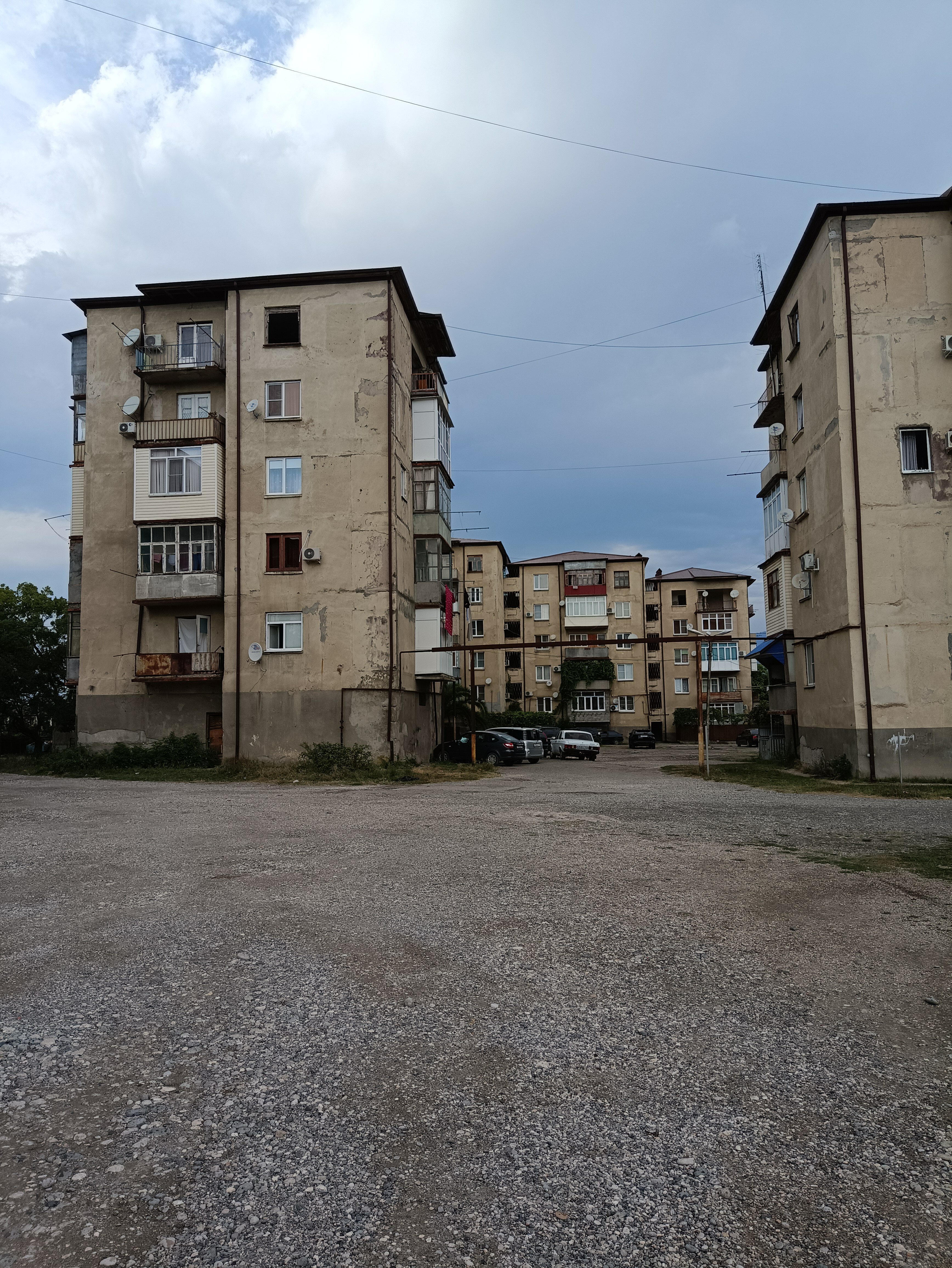 Фото Цитрус 1