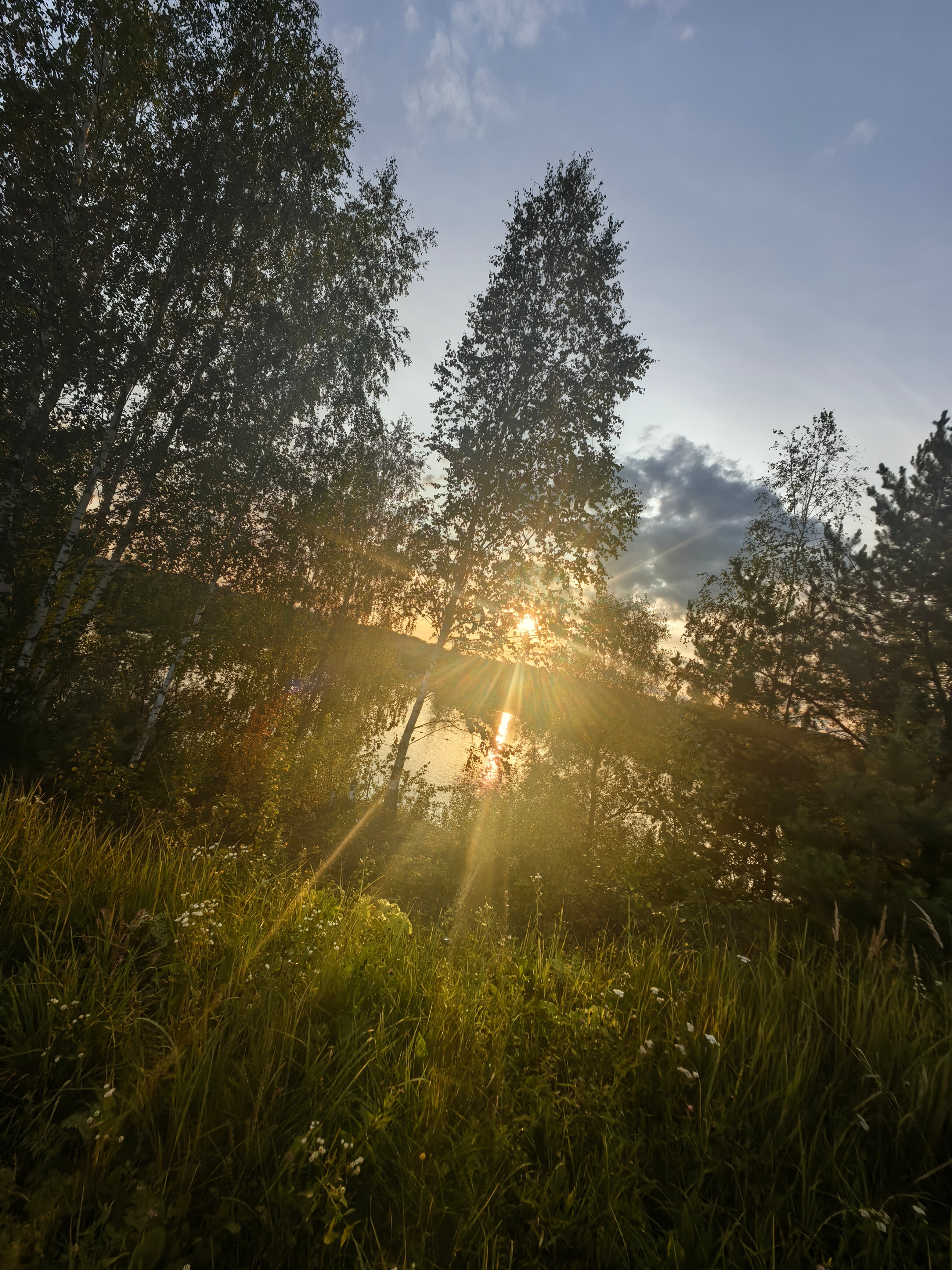 Фото Звонаревка