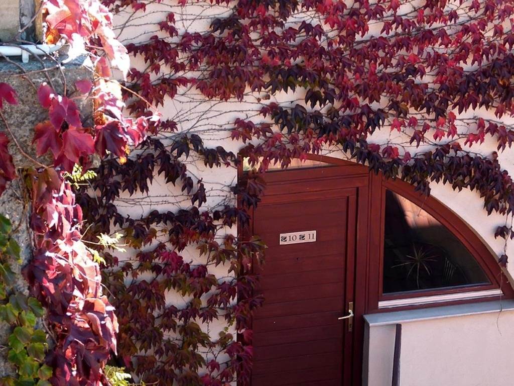 Фото Oliva Hotel & Restaurant