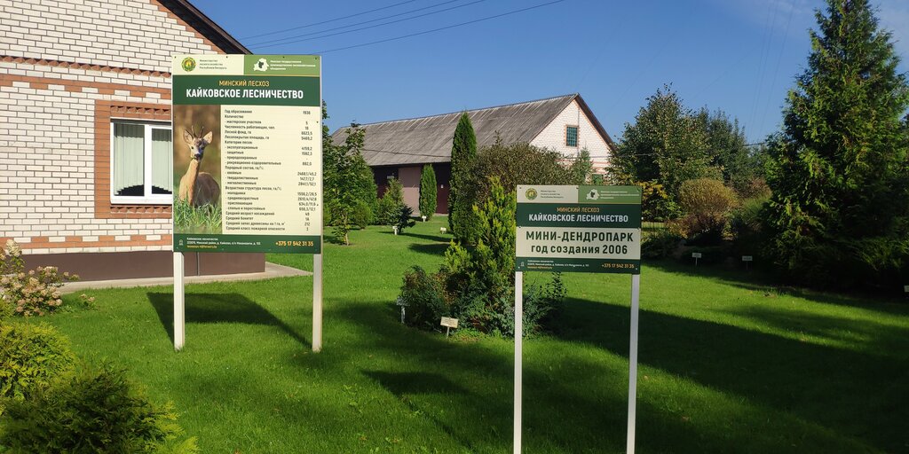 Silvicultura, silvicultura Kaykovskoye Lesnichestvo Glu Minsky leskhoz, , foto
