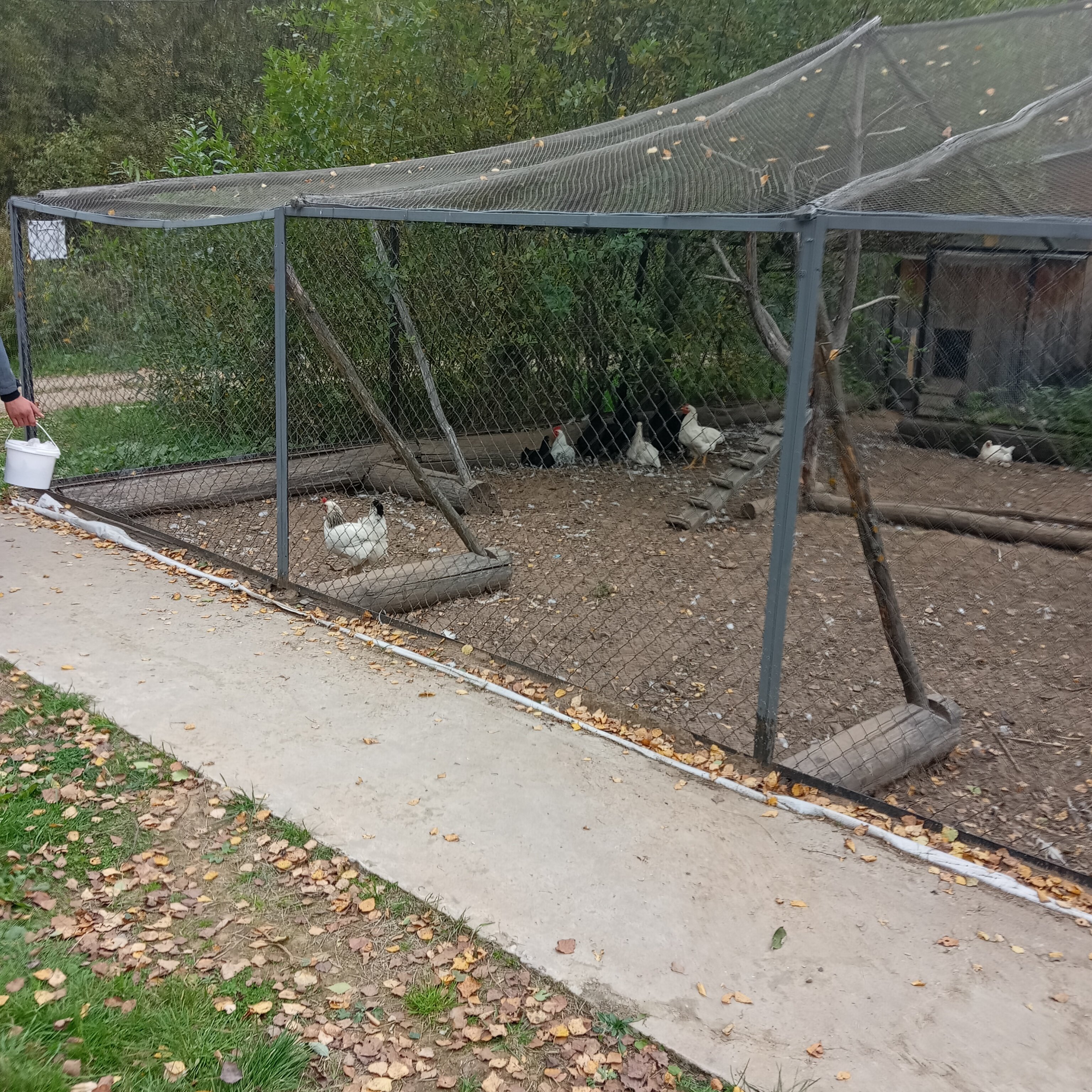 Фото Оленья ферма СудимирЪ