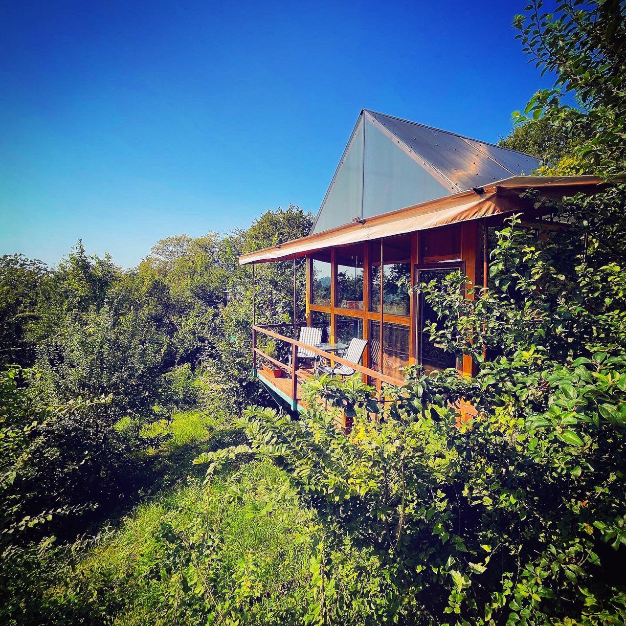 Фото Оранжереи