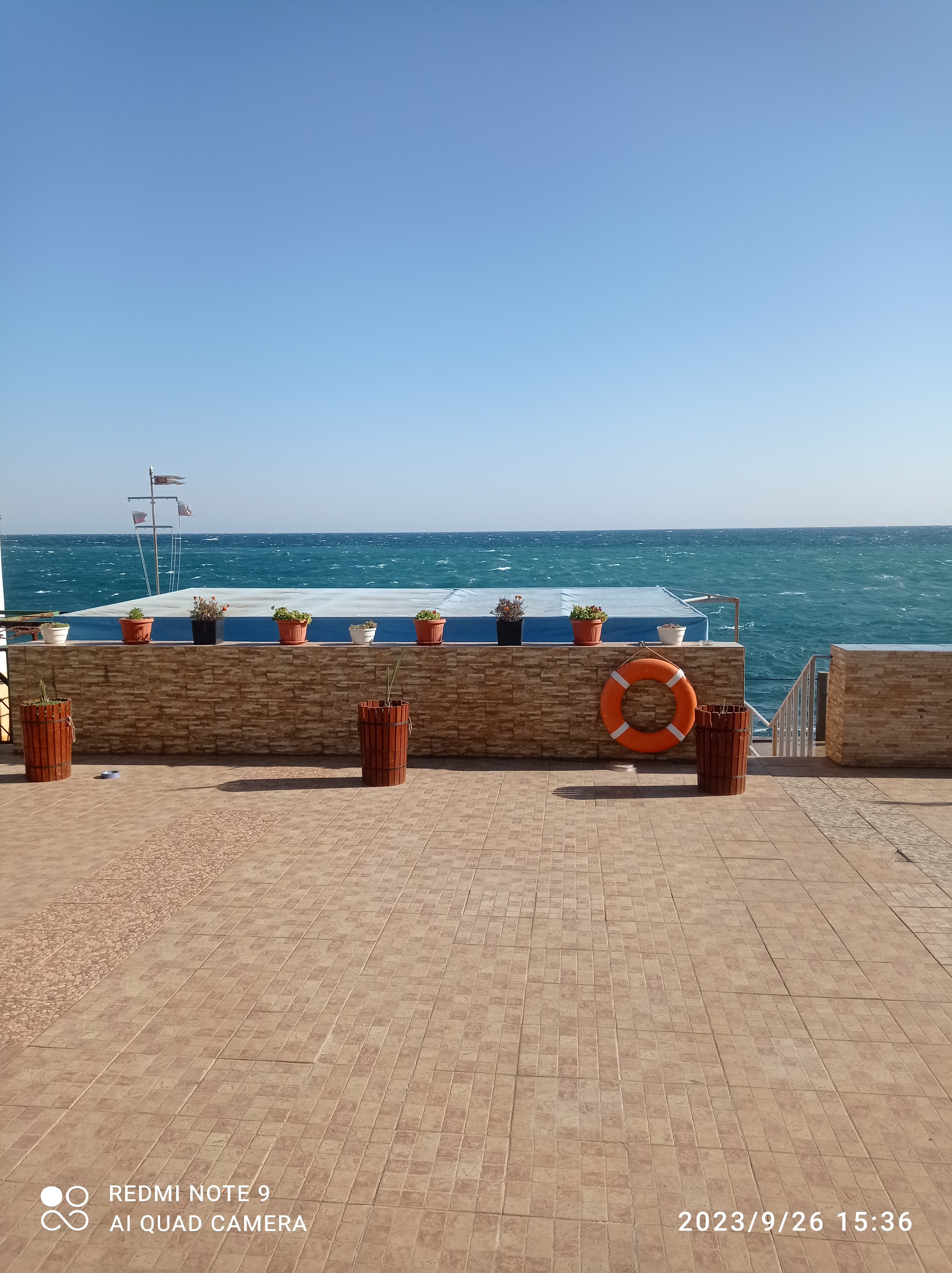 Фото Жемчужина