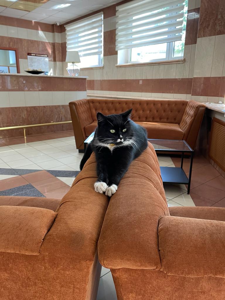 Фото отеля 5