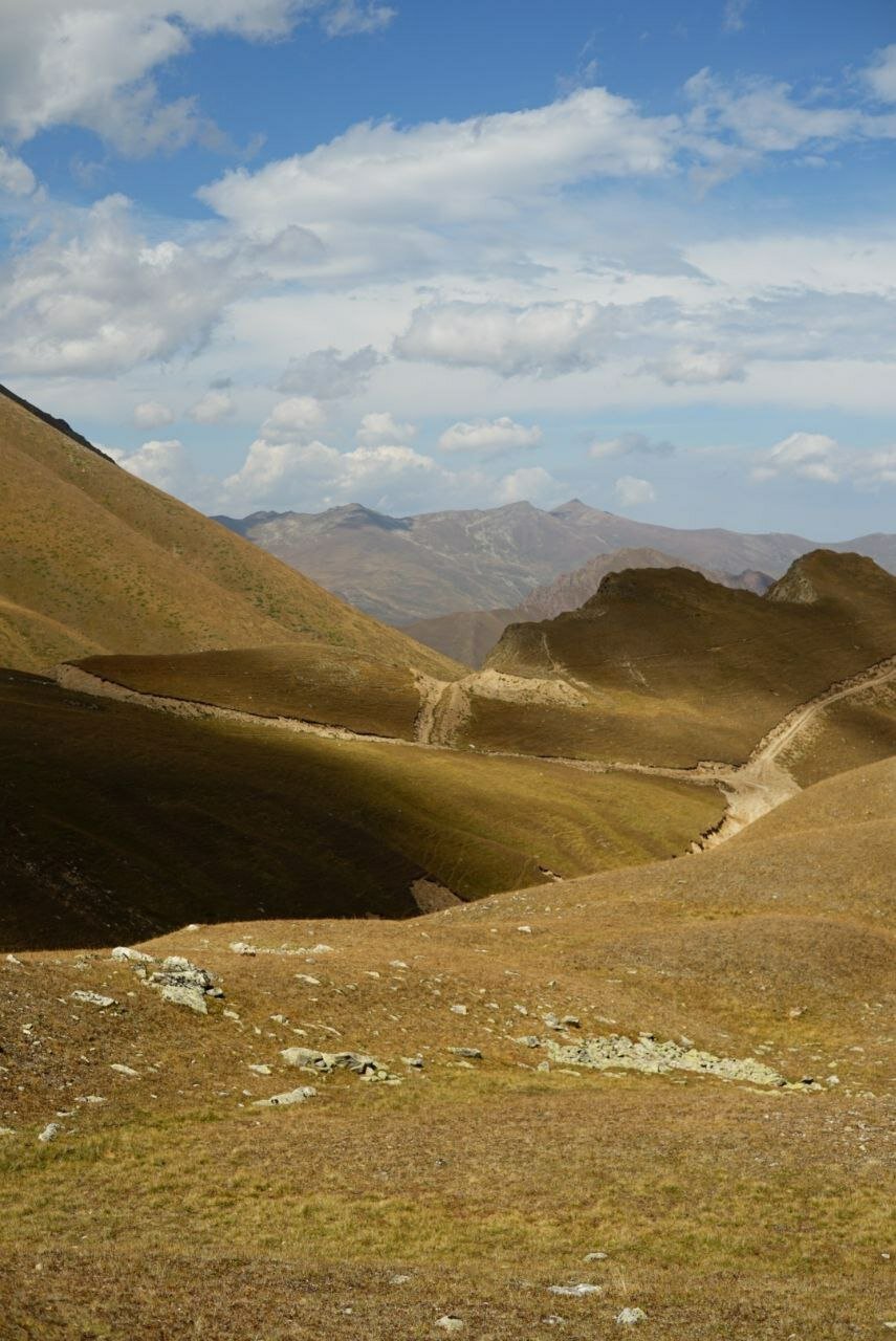 Фото Алекс Холл