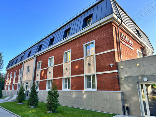 Внешний вид отеля Альбион в Челябинске, фото 3