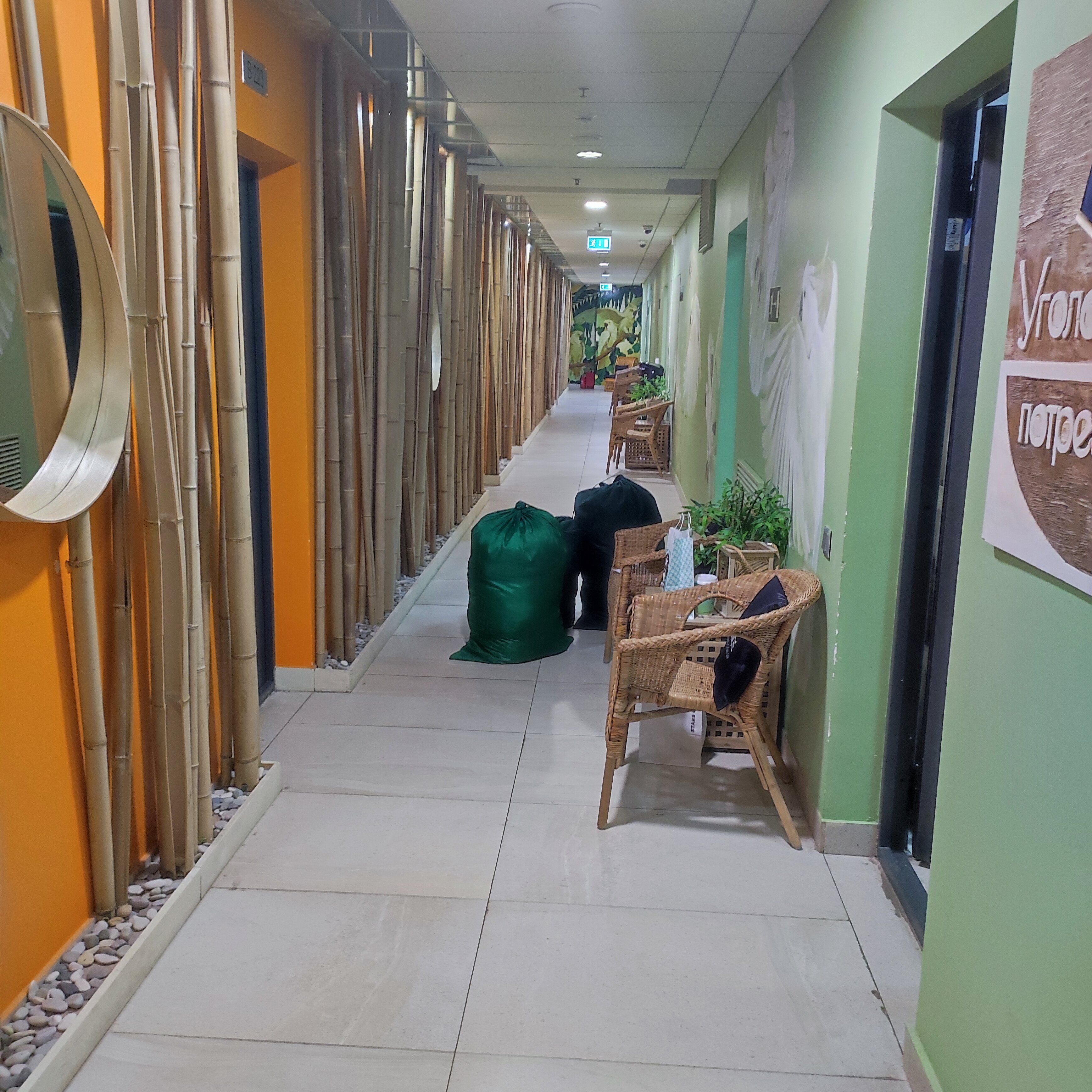 Фото Эколайнер