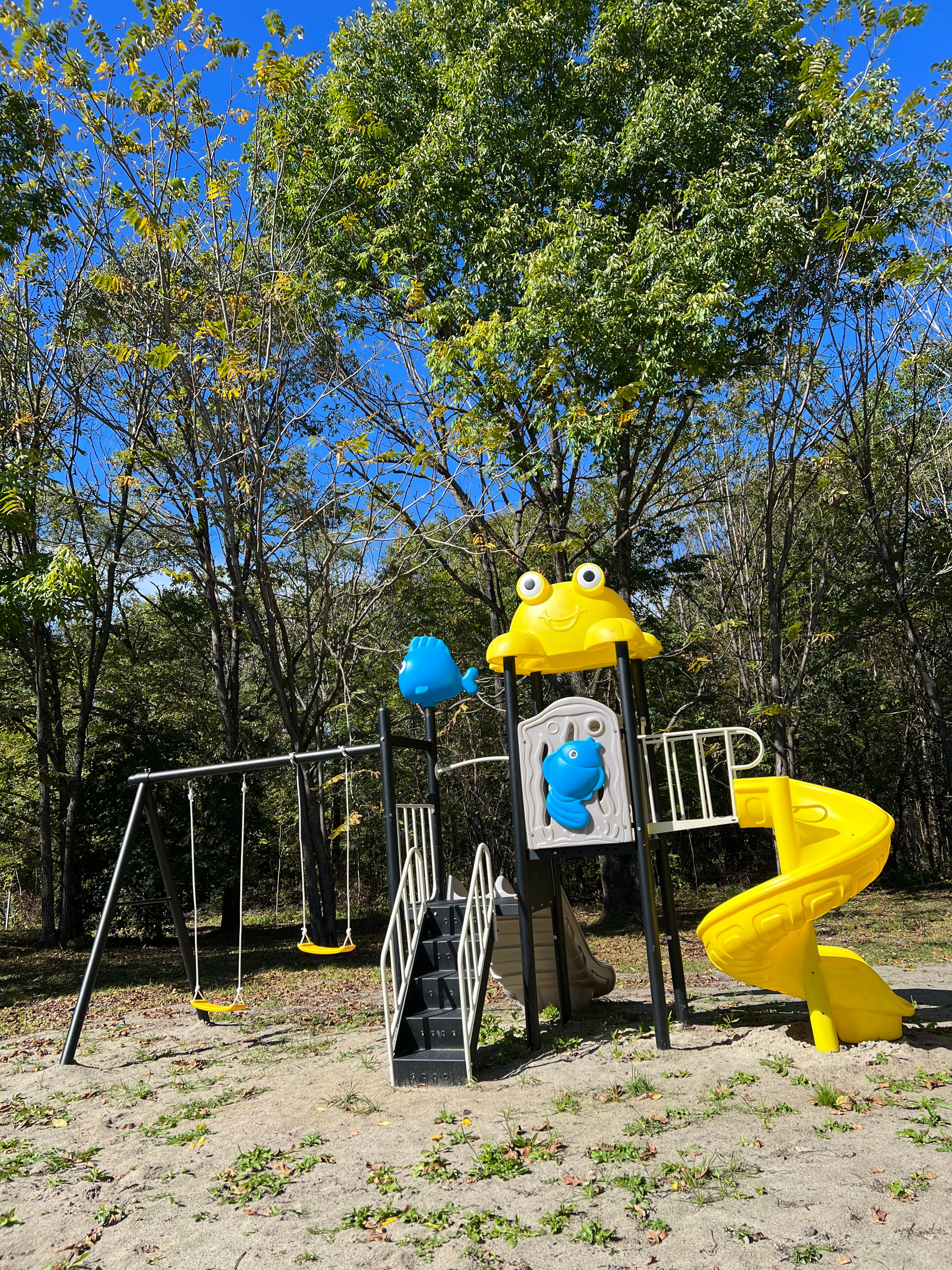 Фото Сплавной участок