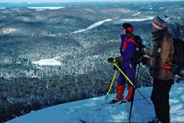 Фото Comfort Inn Sault Ste. Marie