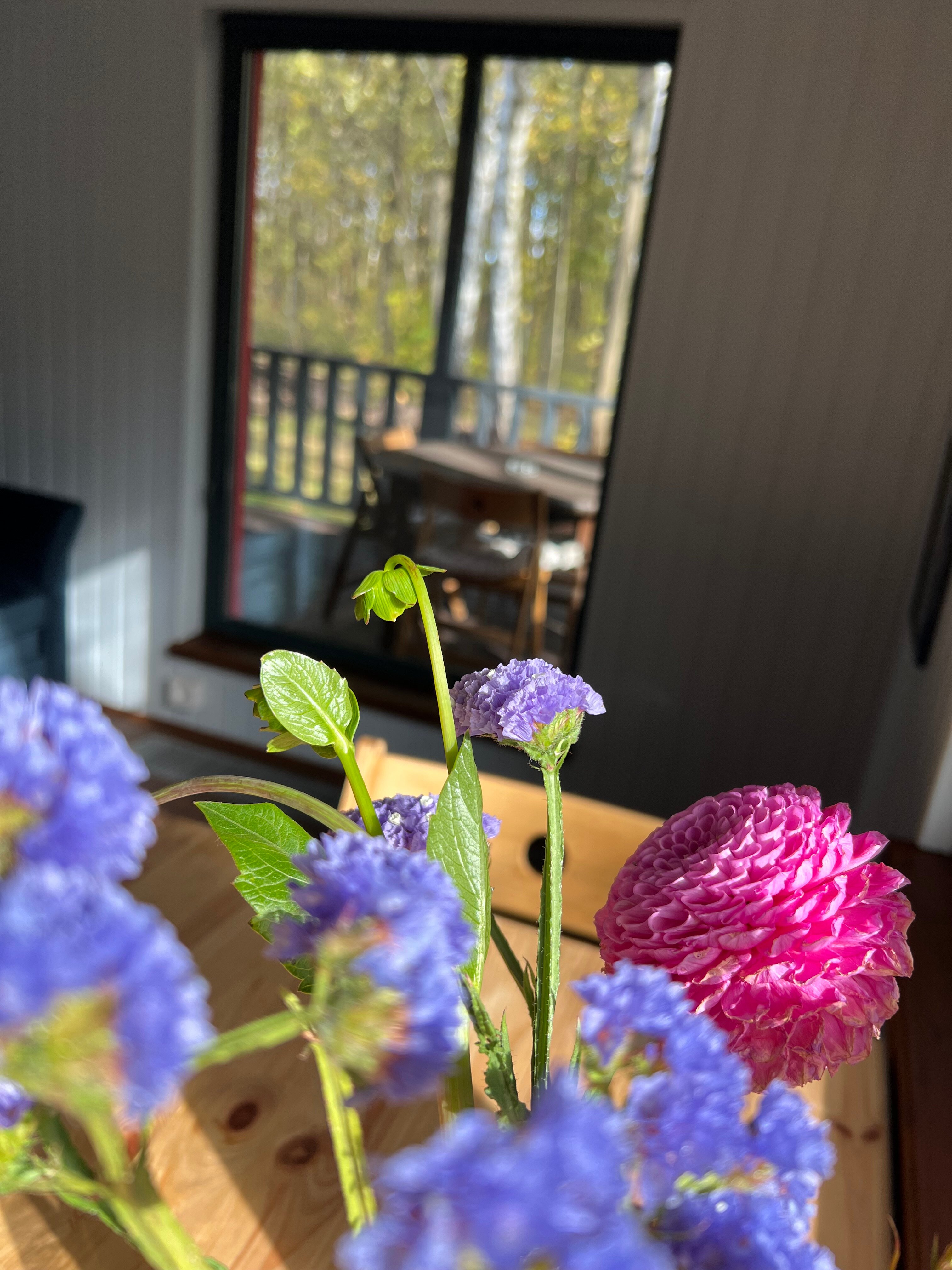 Фото Простые Радости