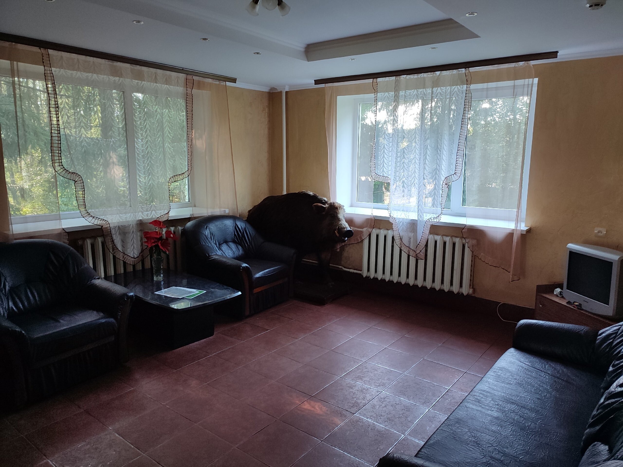 Фото Берёзки кантри хаус