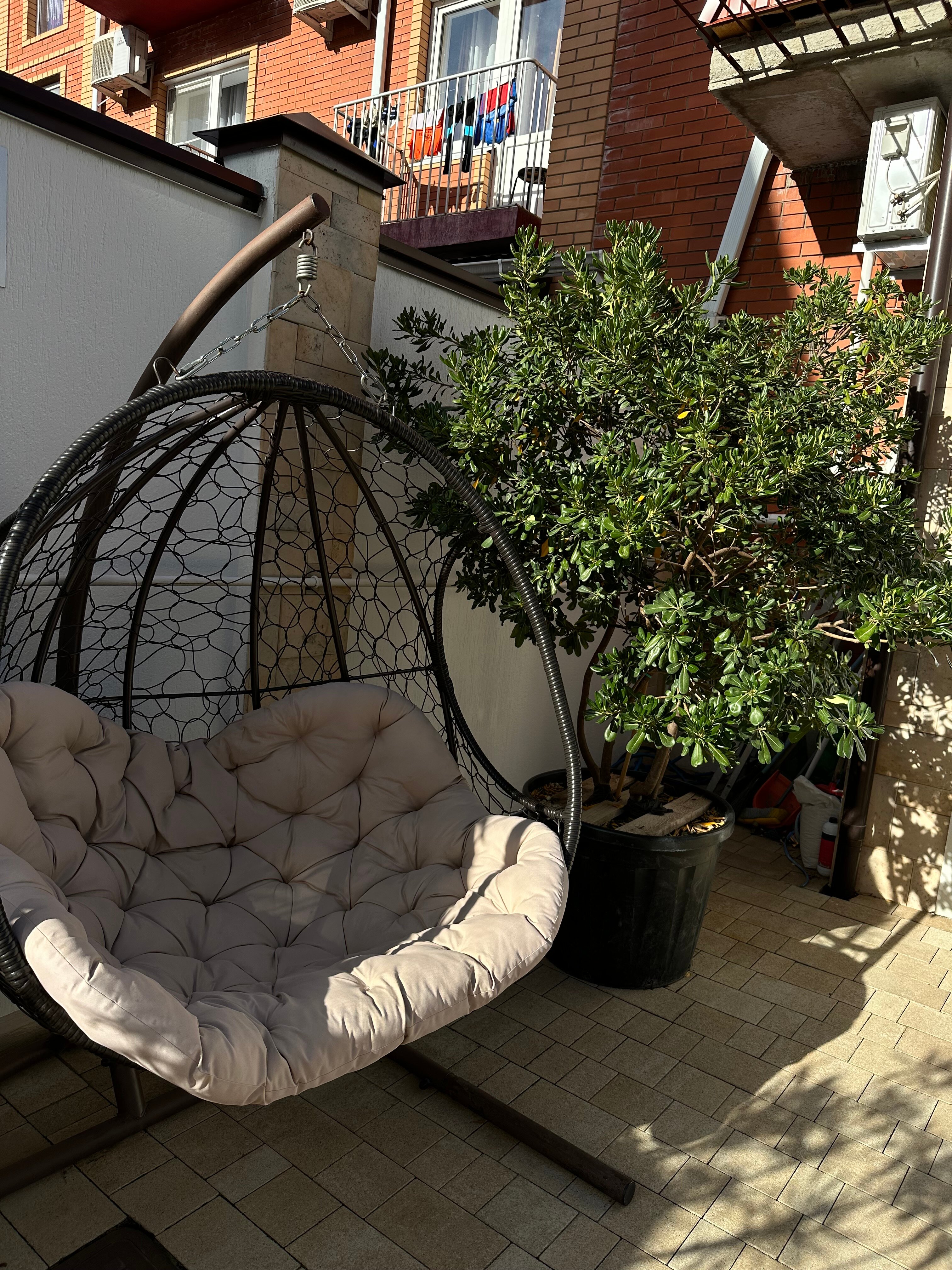 Фото Blue Marlin