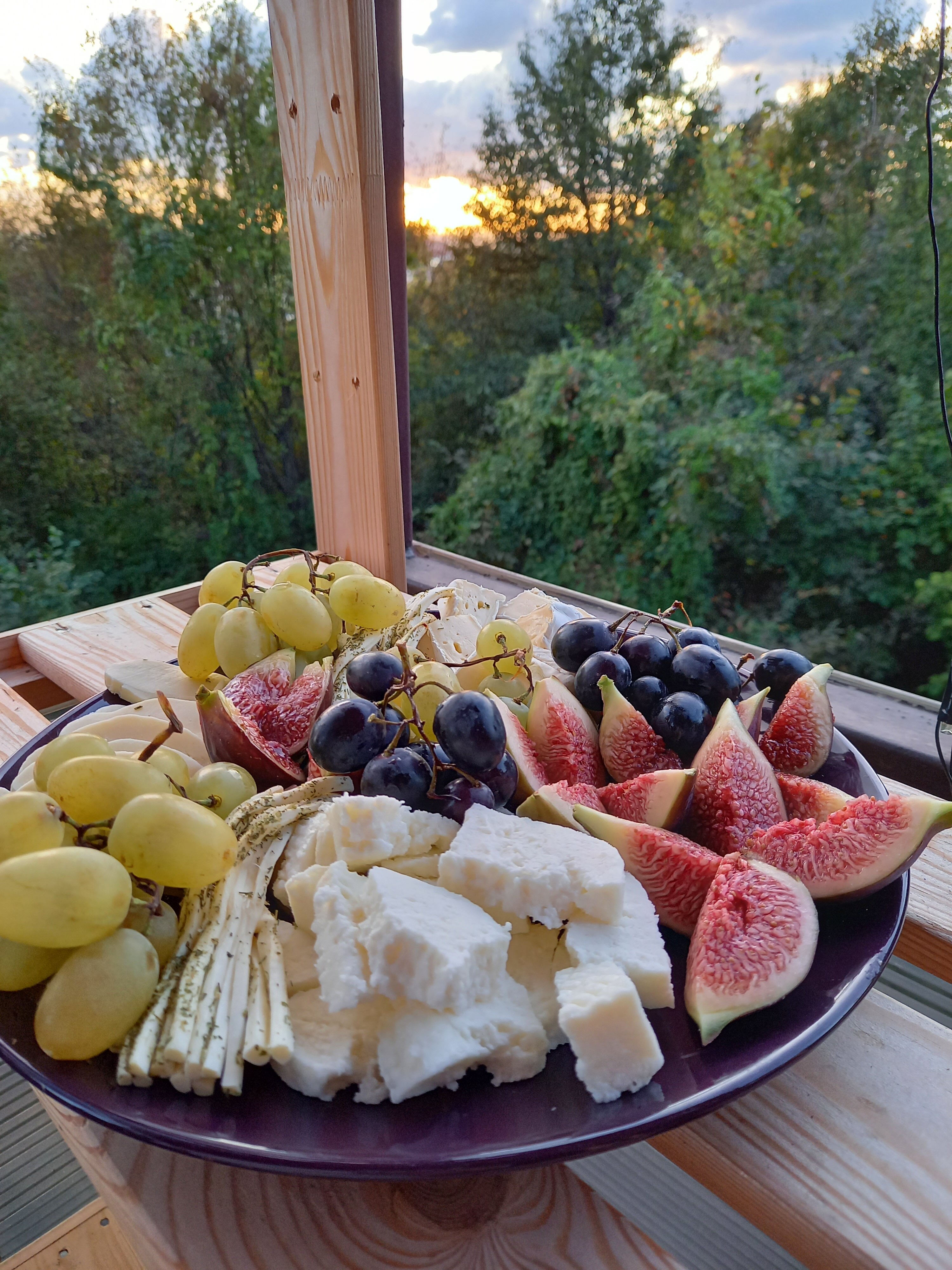 Фото Оранжереи