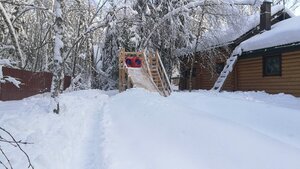 Дикий Лис