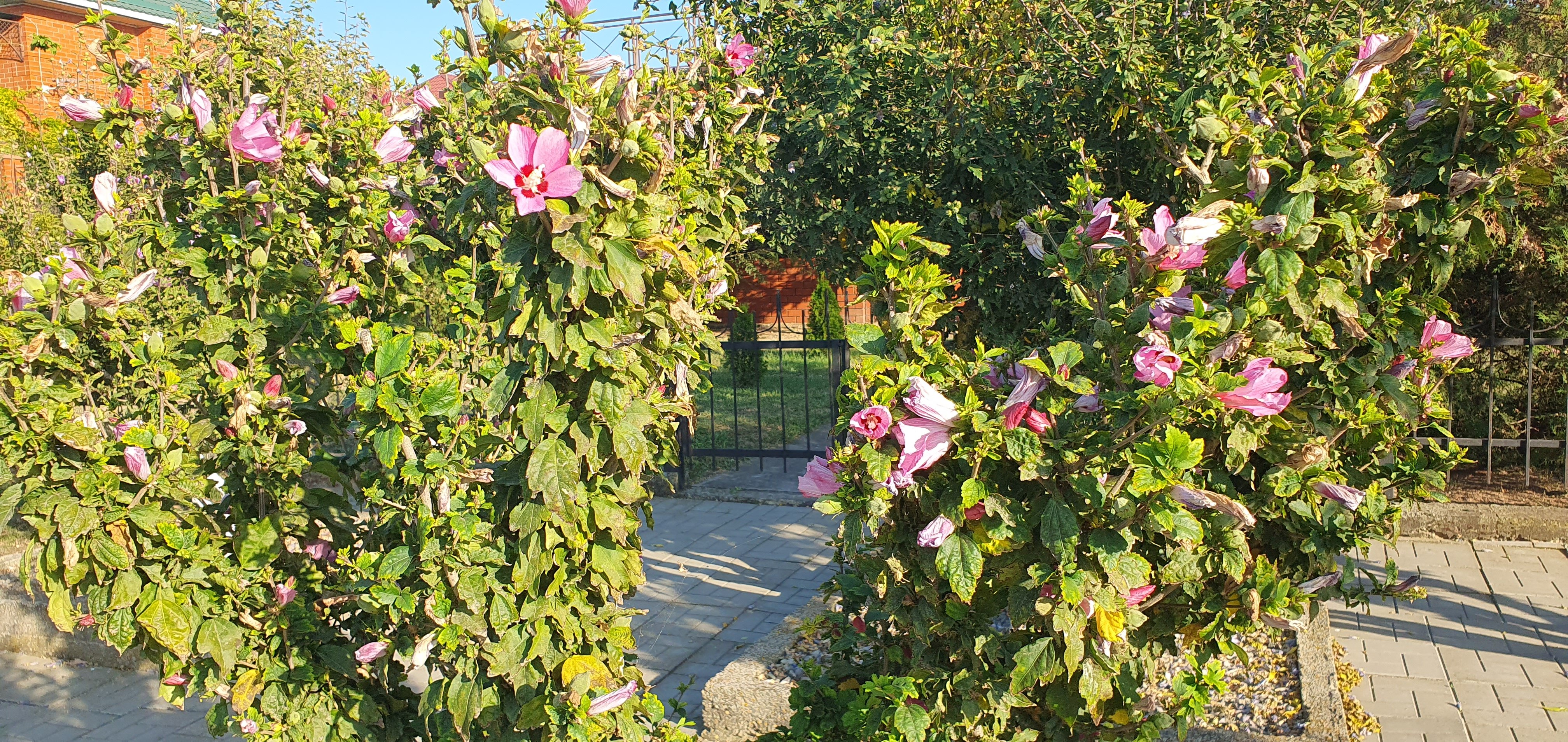 Фото Семейный