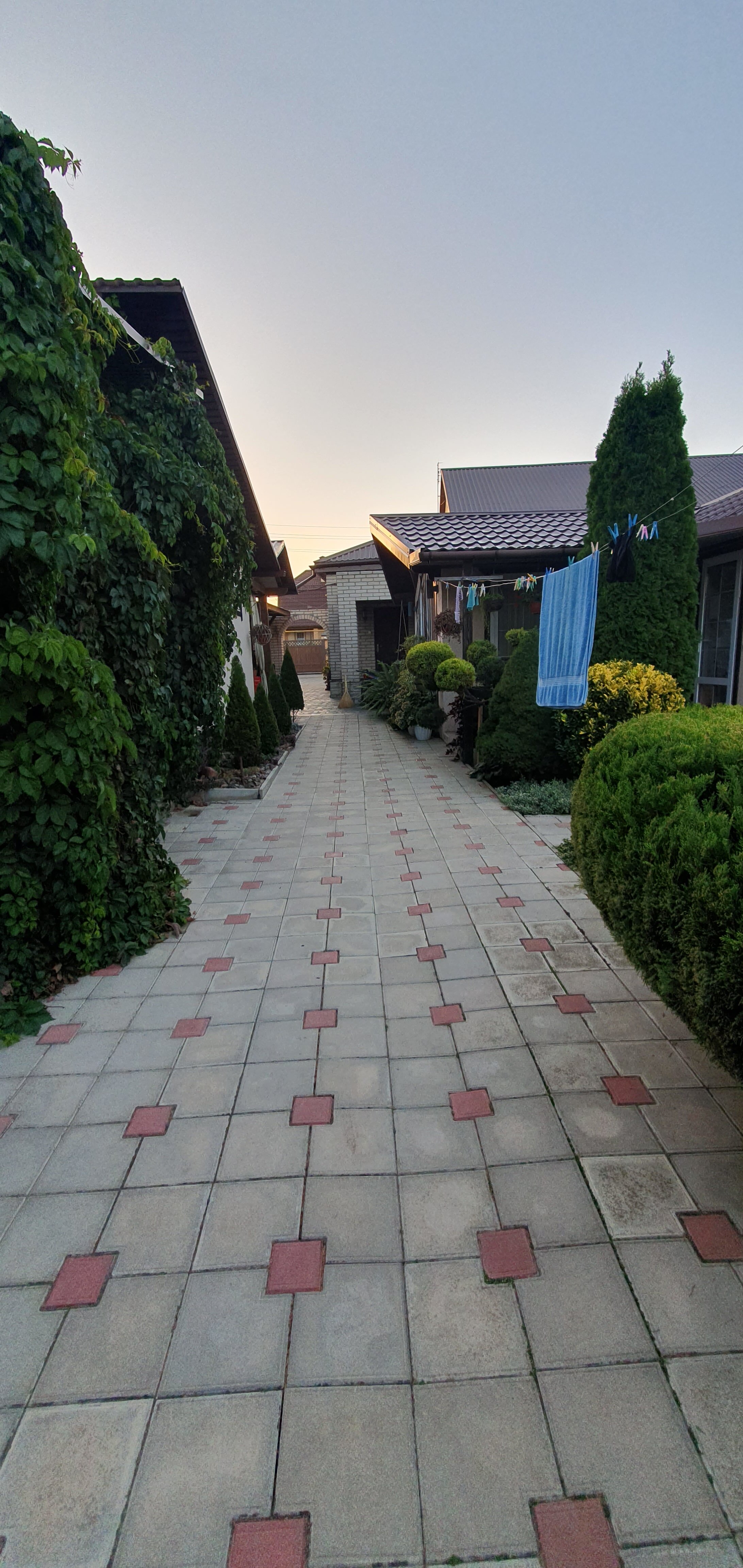 Фото Семейный