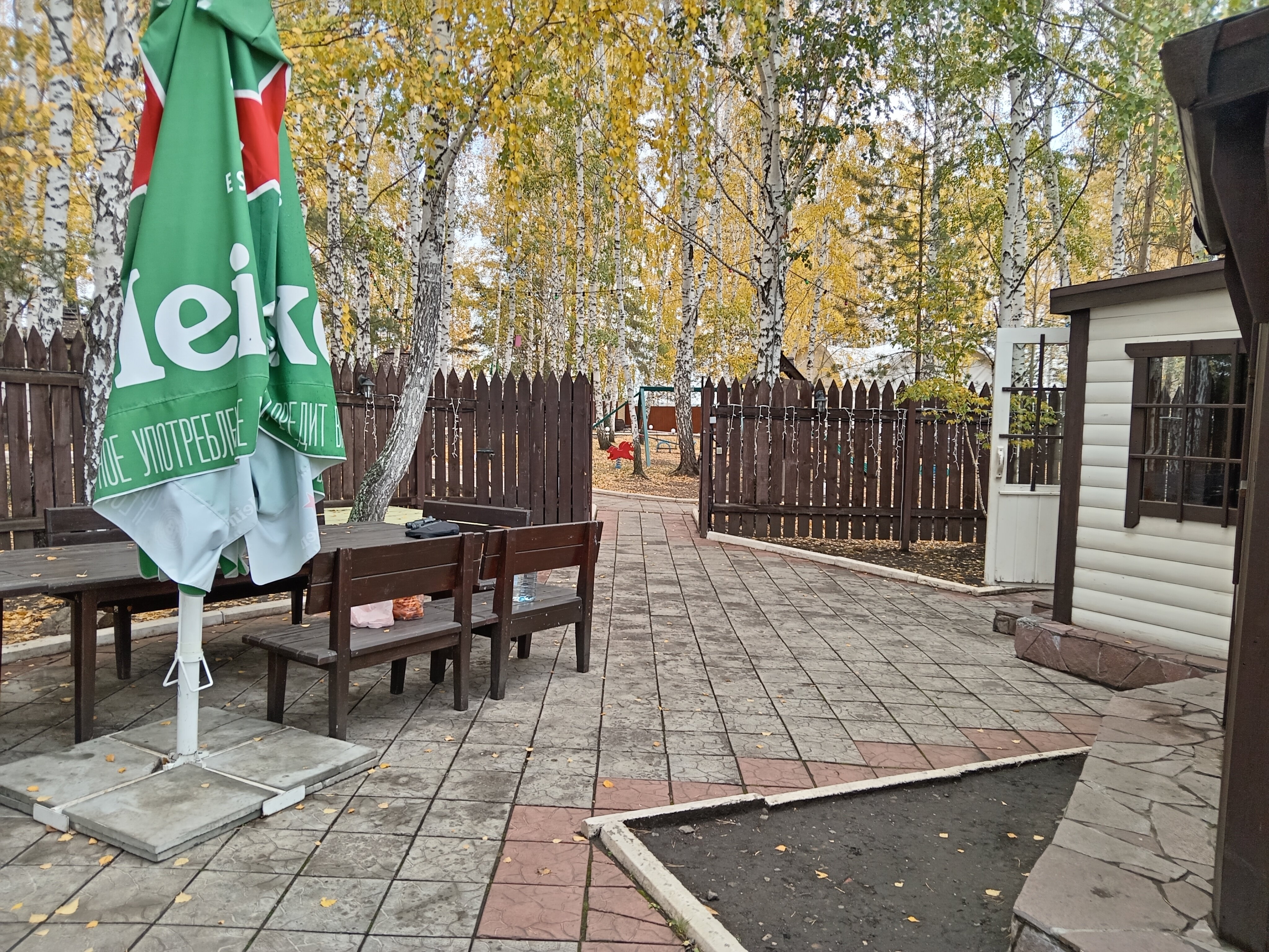 Фото Белая лошадь