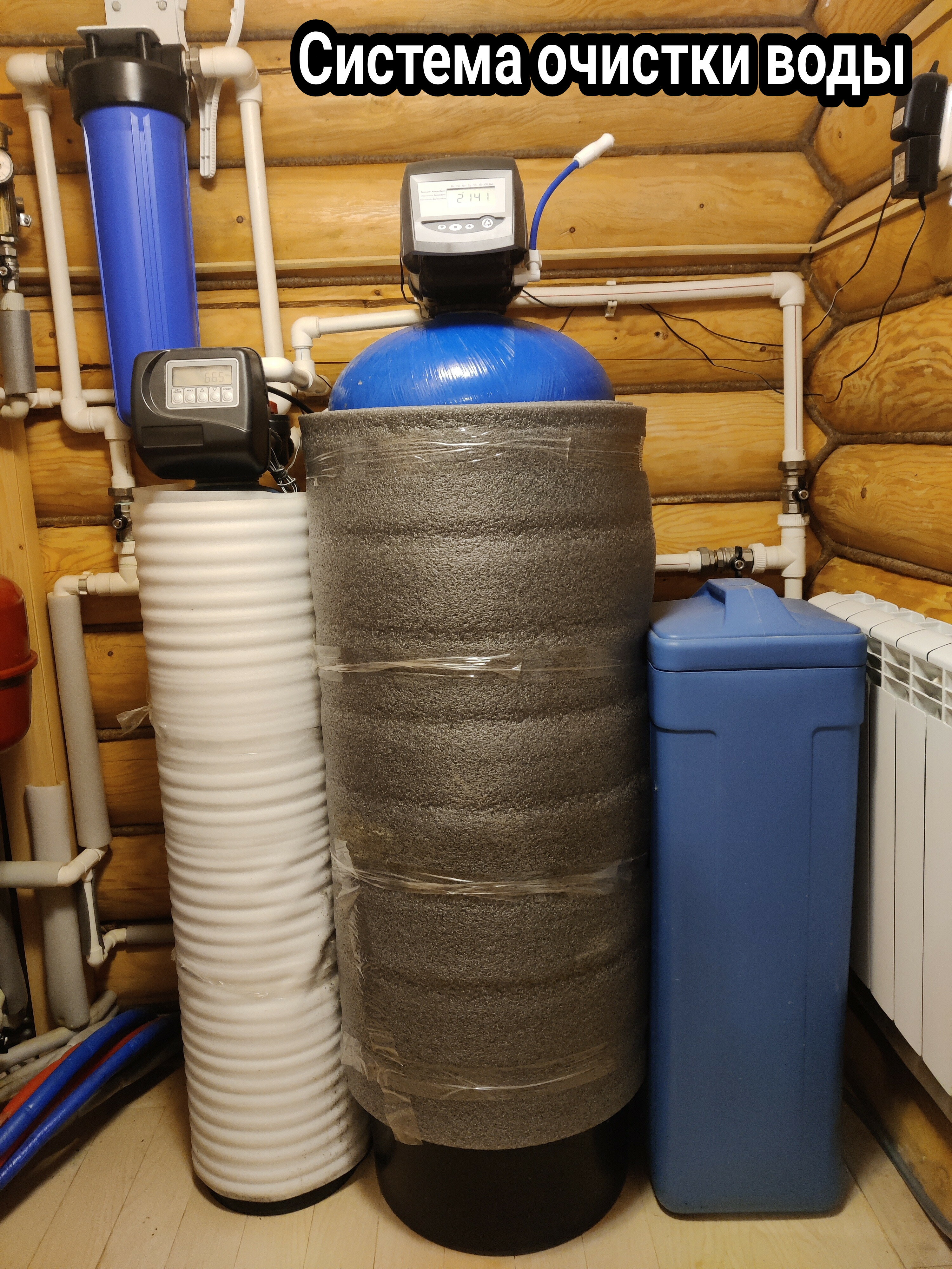 Фото Дикий Лис