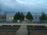 Патриаршая (Lipetsk Region, Zadonskiy rayon, Donskoy selsovet), train station