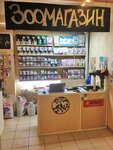 Pet Store (Vysokovoltnaya Street, 34/13), pet shop