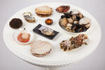 Torus Dv (Primorye Territory, Vladivostok Urban District, Russkiy Village, Settlement of KET), fish and seafood