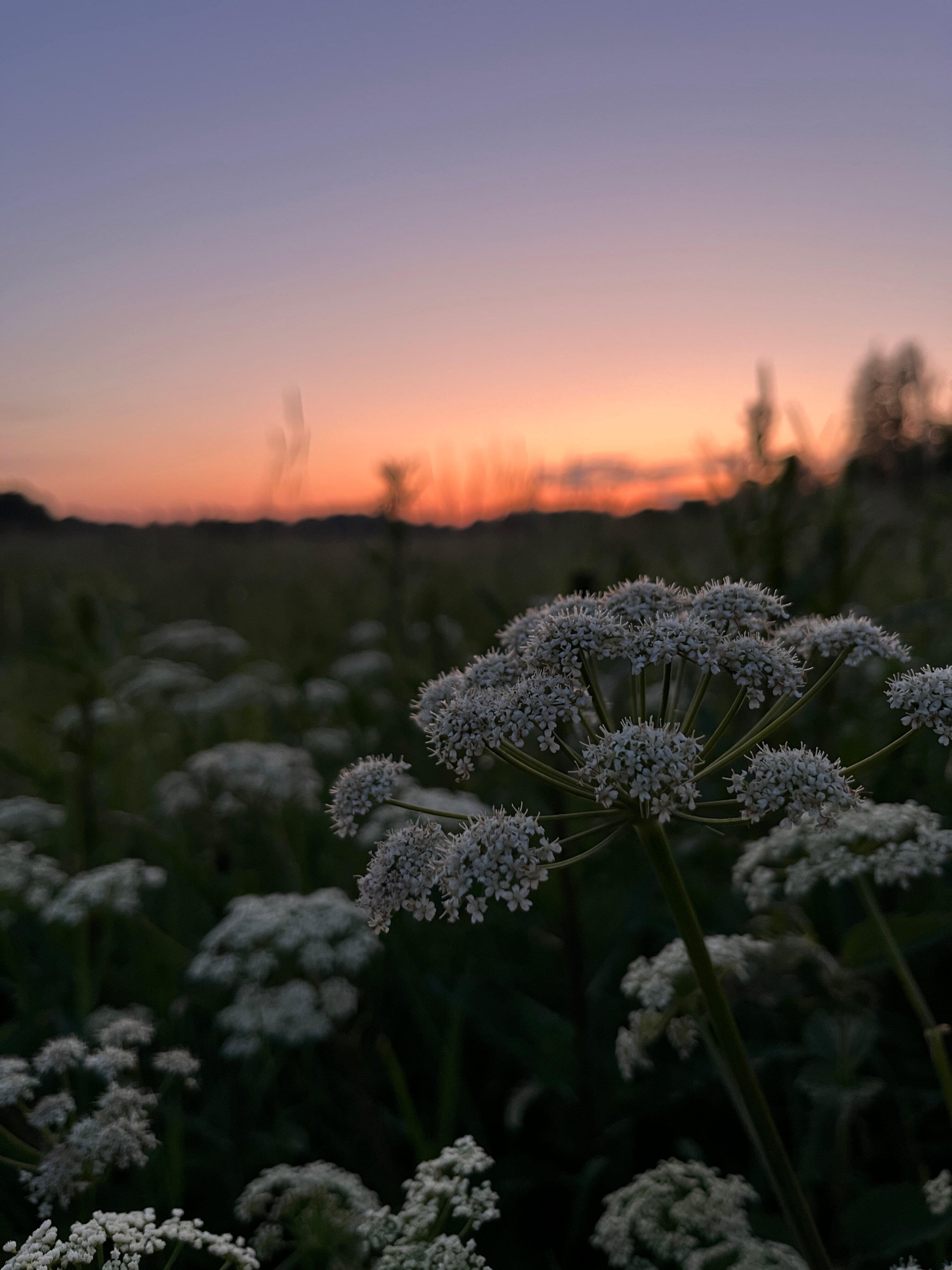 Фото Варёновка