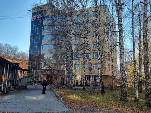 Гостиница Park Wood Hotel в Советском районе