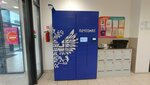 Почтомат (Kosmonavtov Avenue, 108Г), courier services