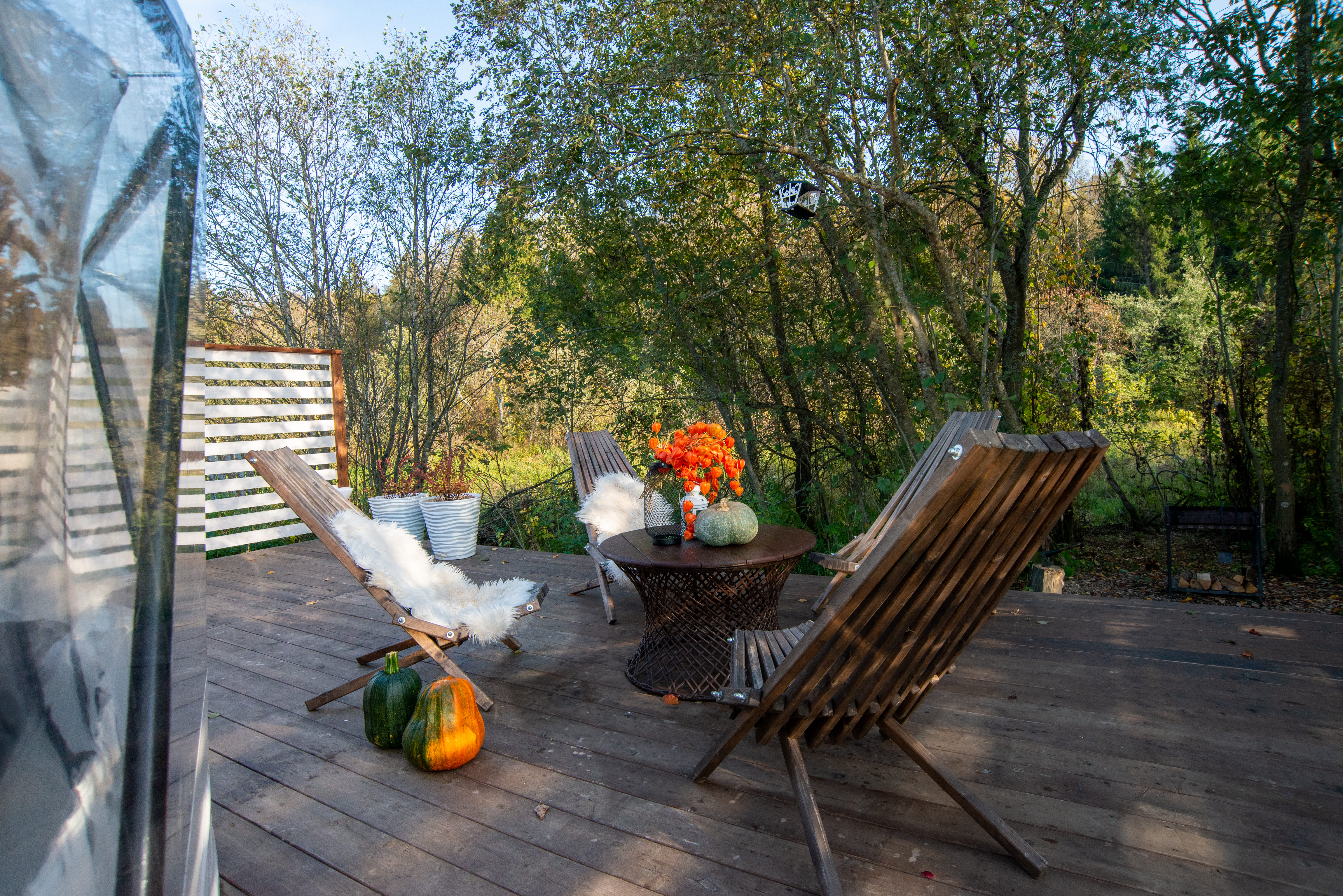 Фото Рядом Даль