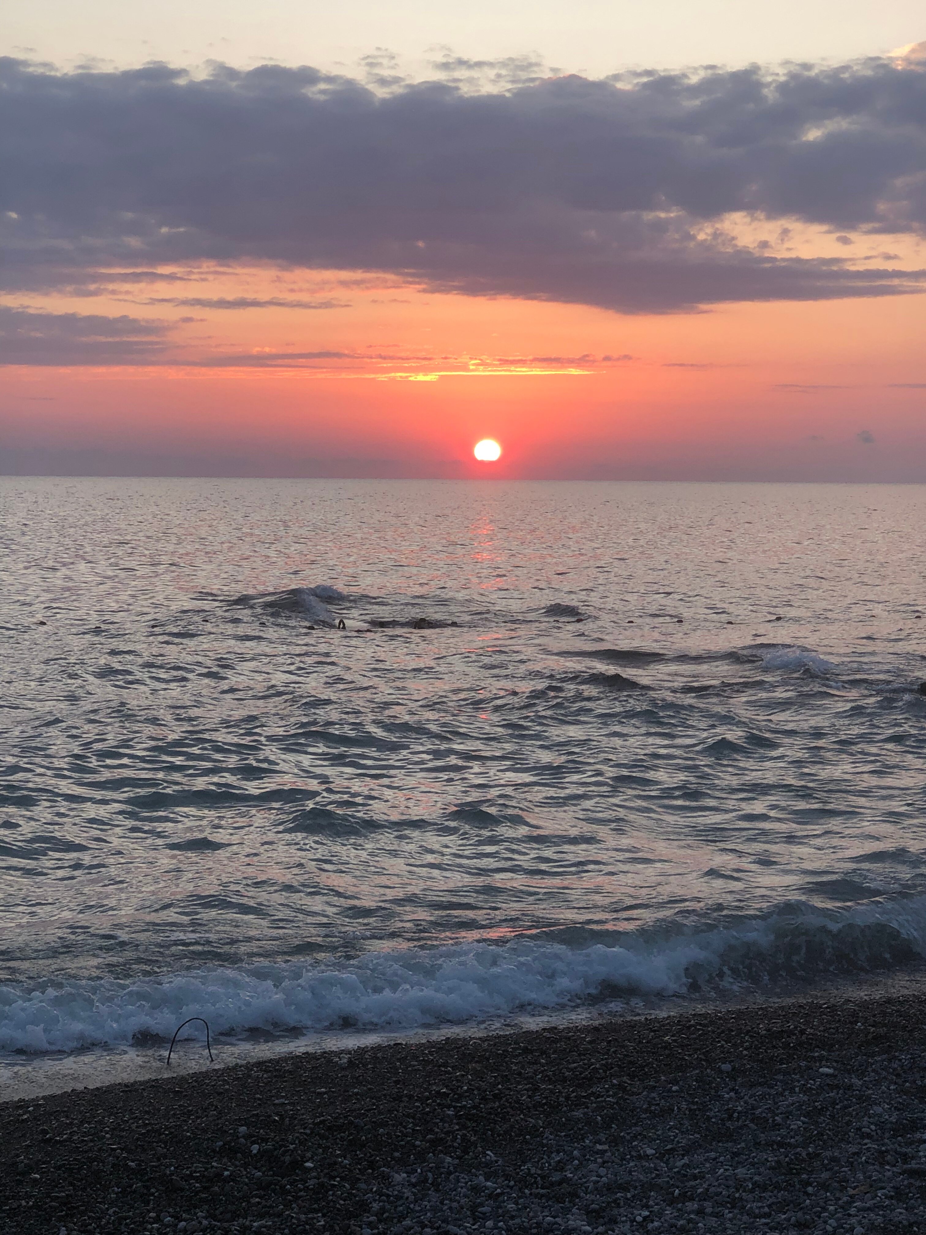 Фото Форелька