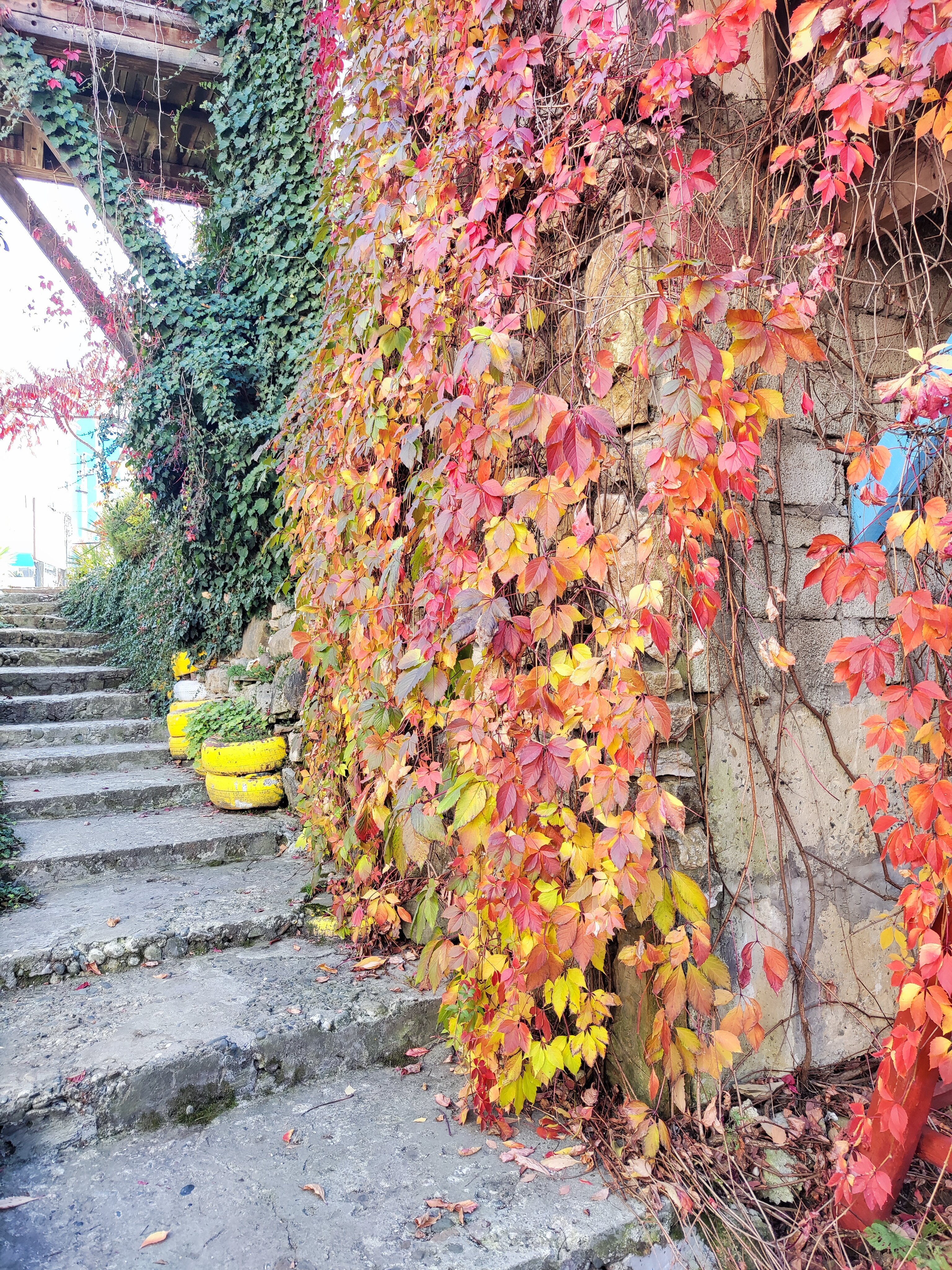 Фото Беловодие