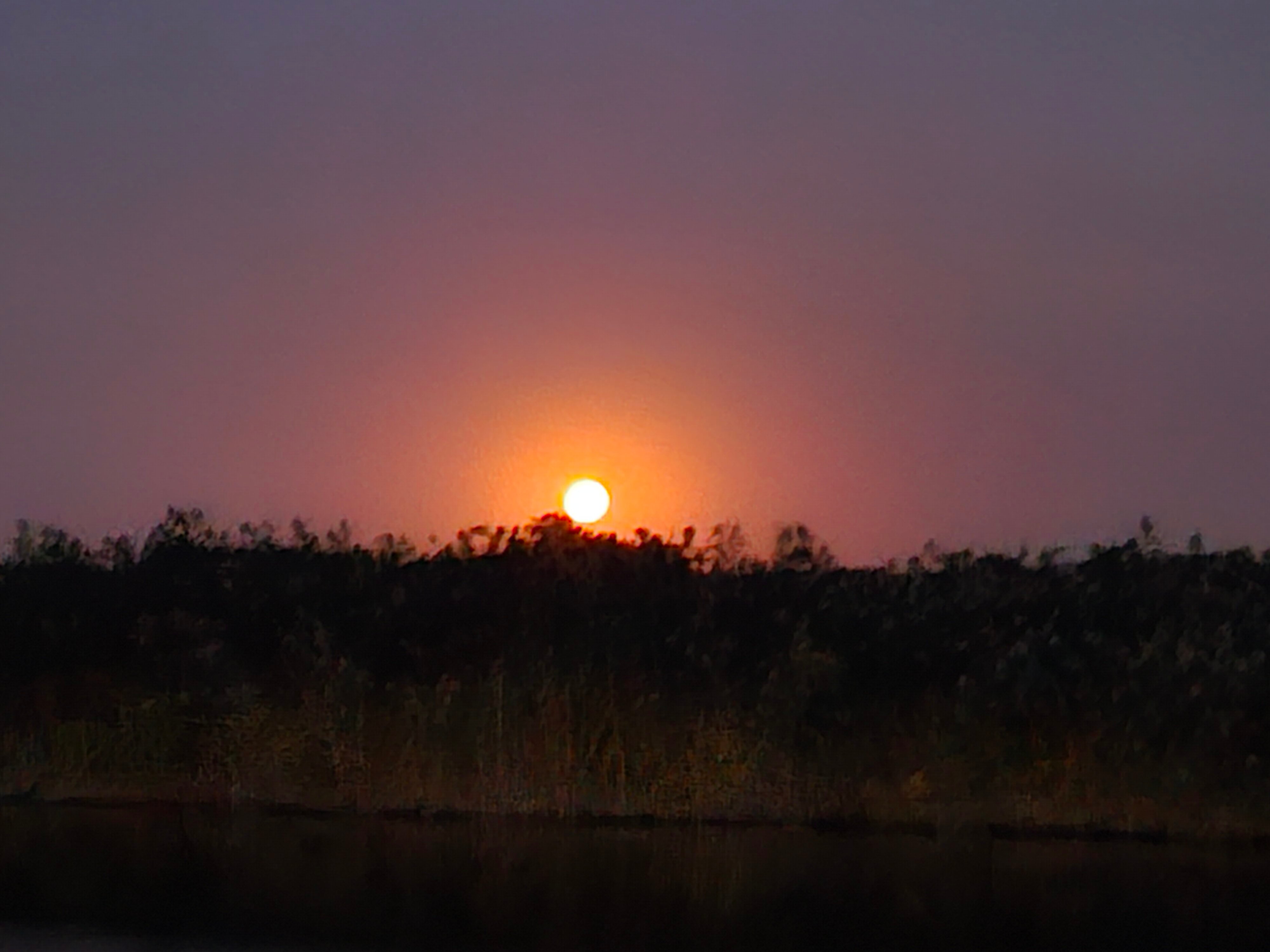 Фото Кубанский хуторок