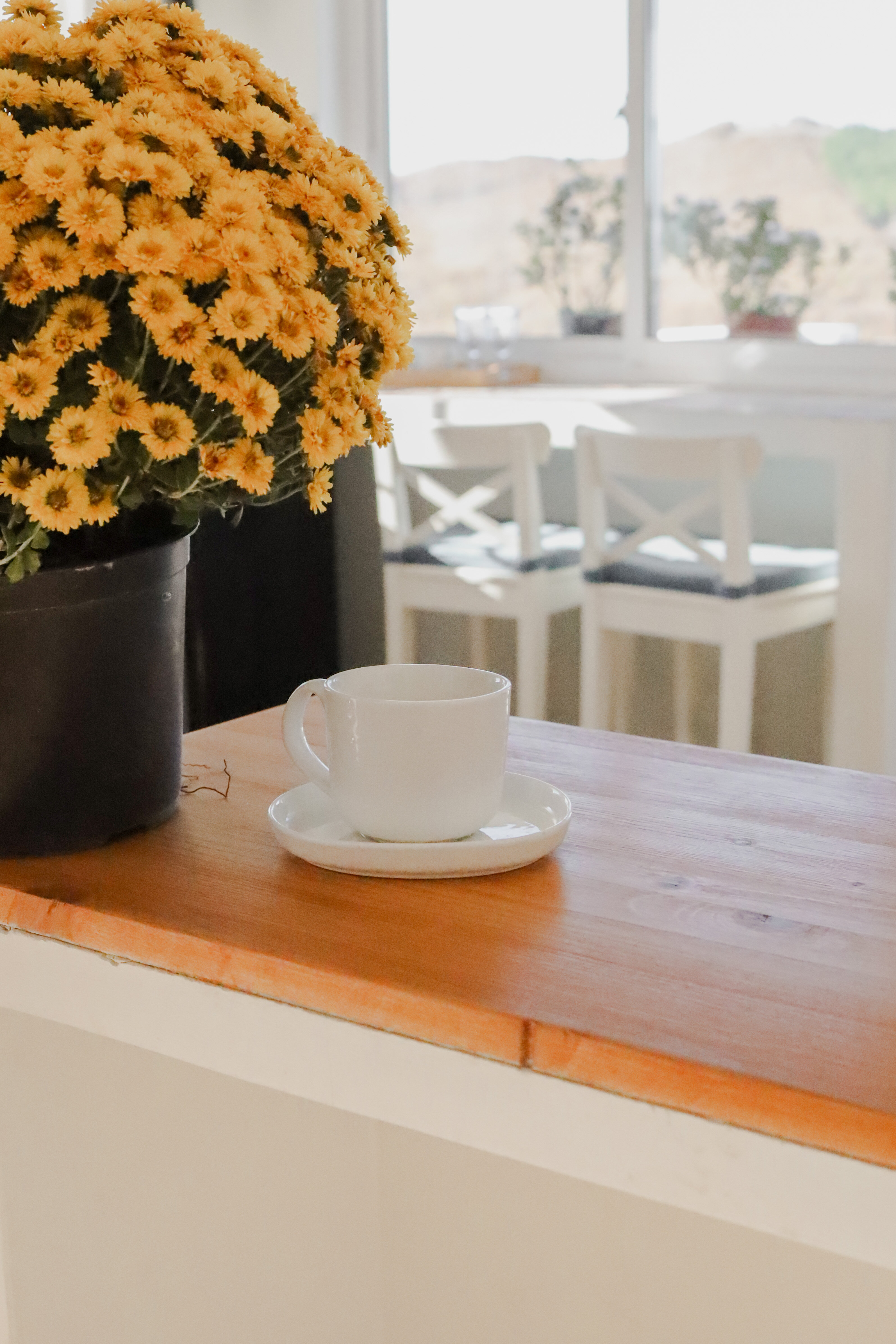 Фото Каса Сиеста