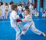 School karate Nikolaevoj Antoniny (ulitsa S.P. Popova, 27А), sports club