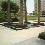 Areej Landscaping (4, China-F Street, China Cluster, Dubai International City, Mushraif, Dubai), landscape design