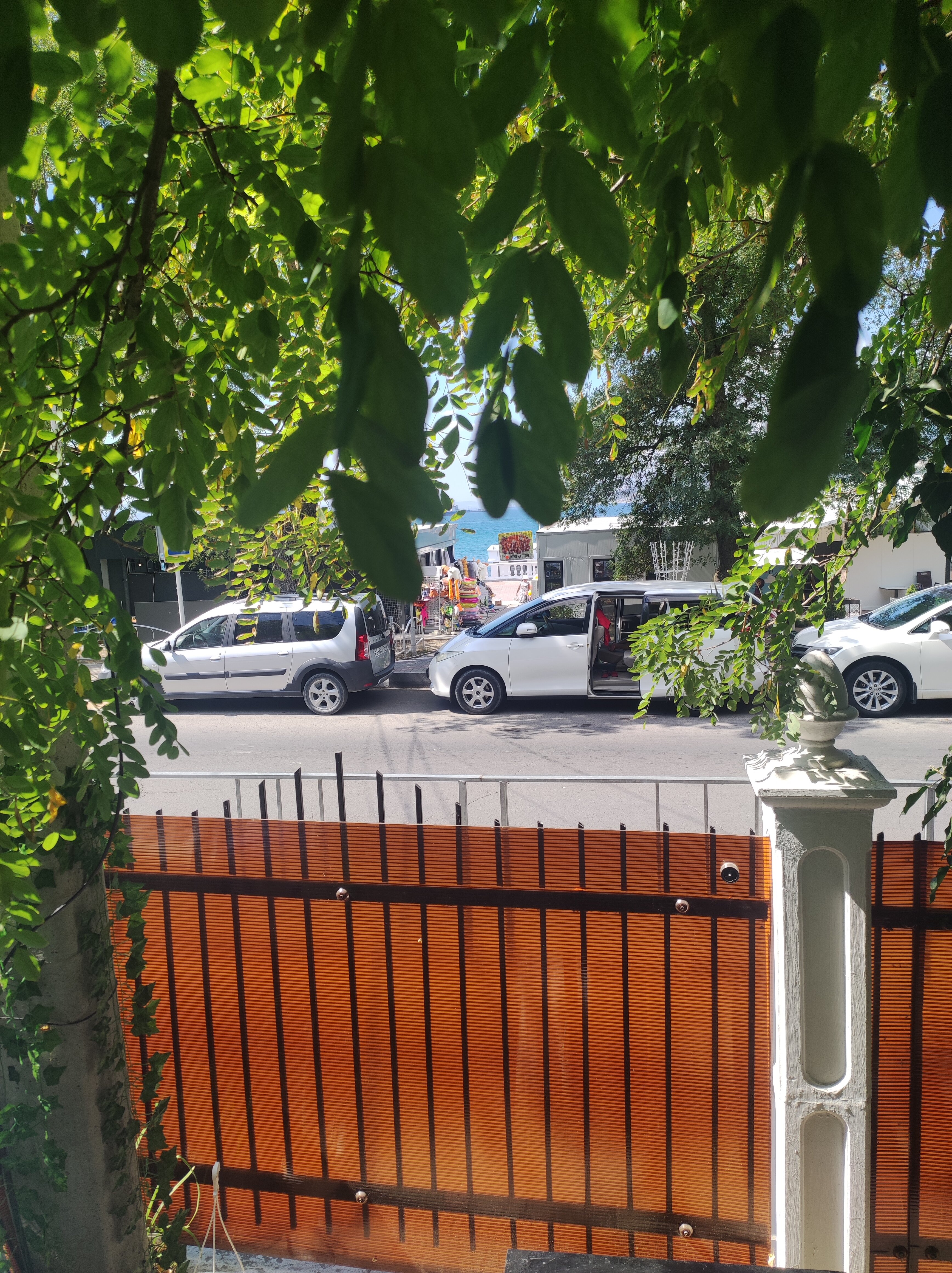 Фото Прованс