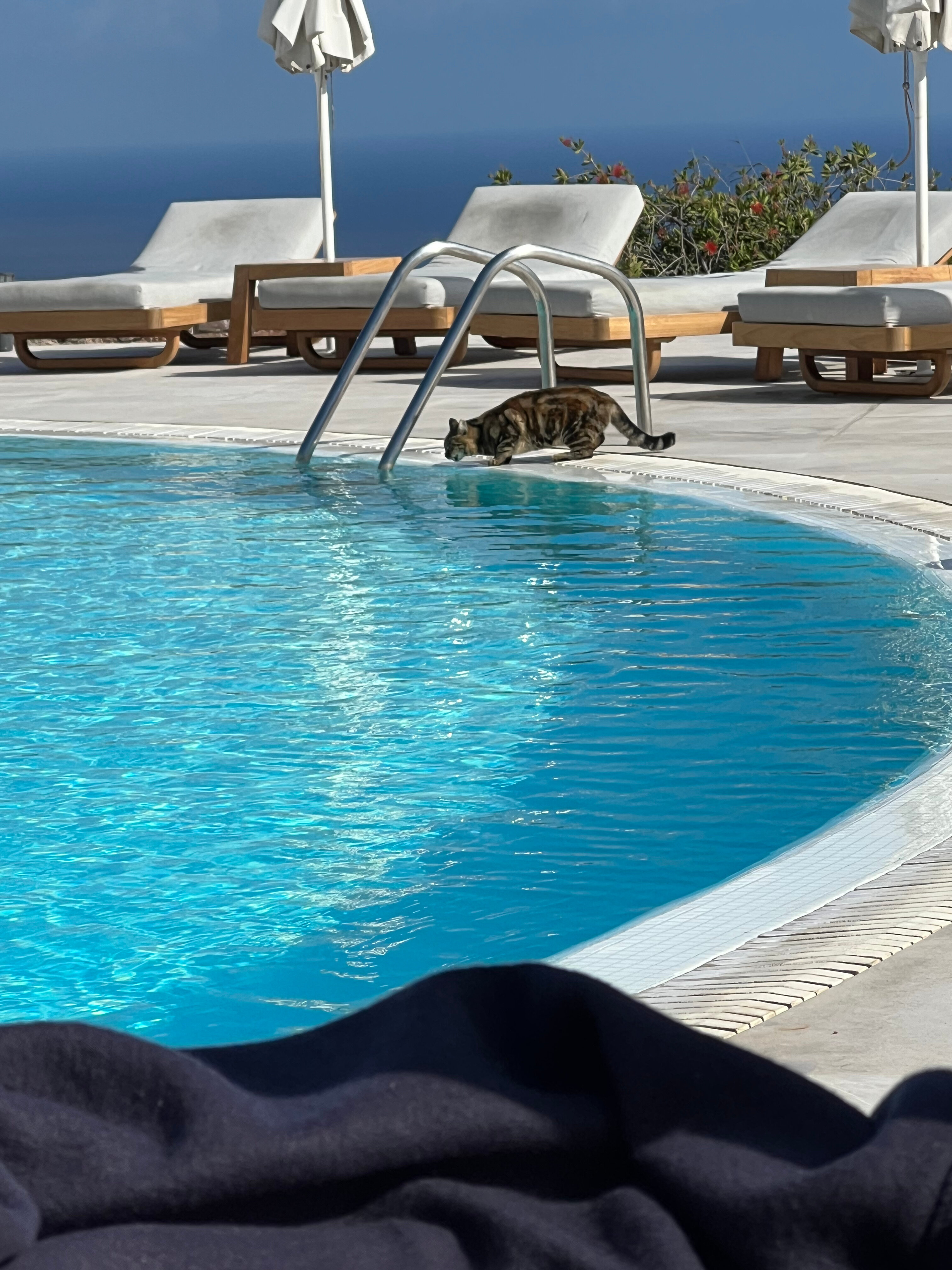 Фото Astro Palace Hotel & SPA