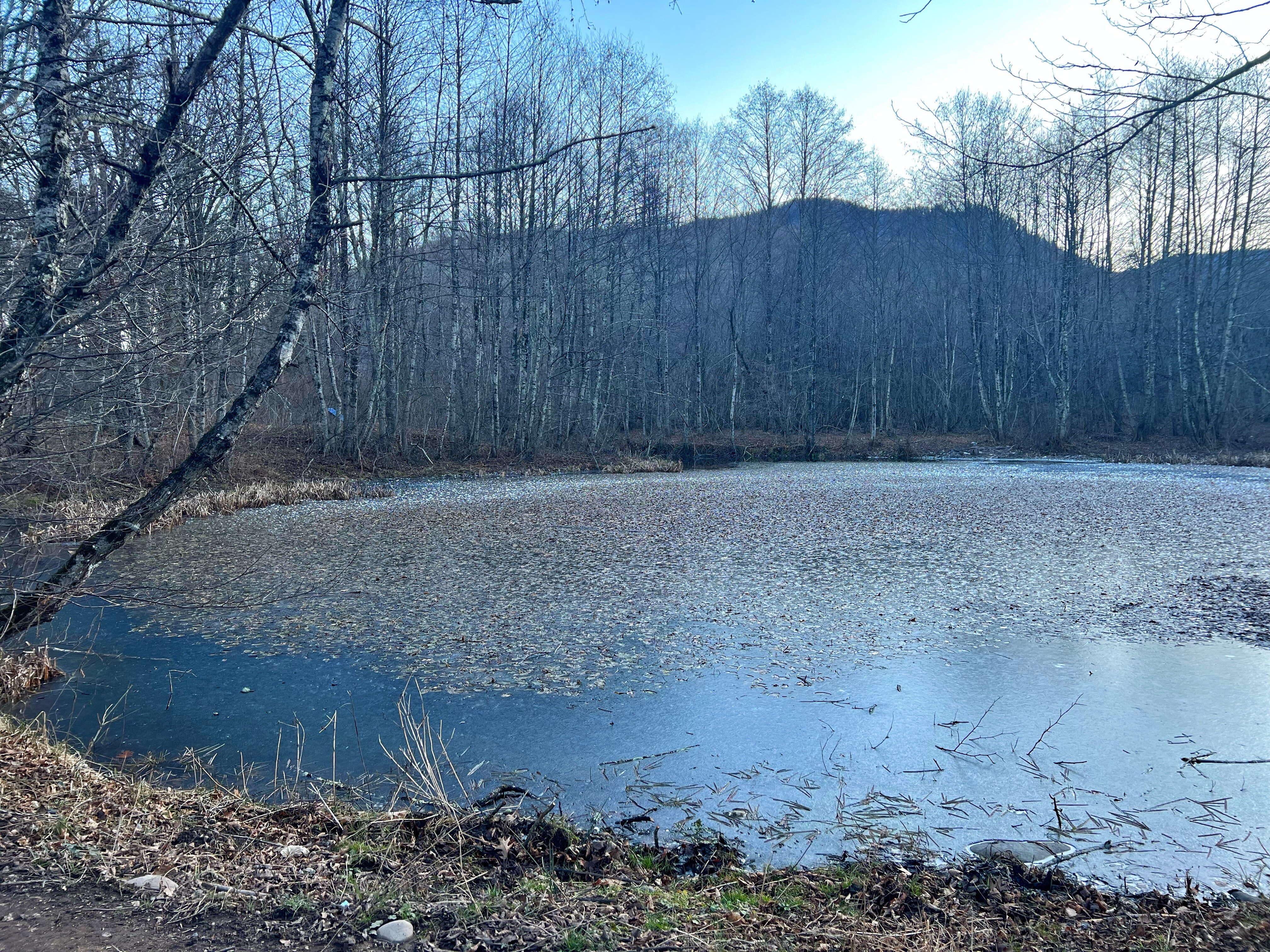 Фото Горная башня