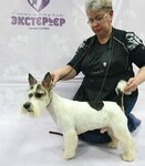 Экстерьер (Orlovskaya ulitsa, 14), pet salon