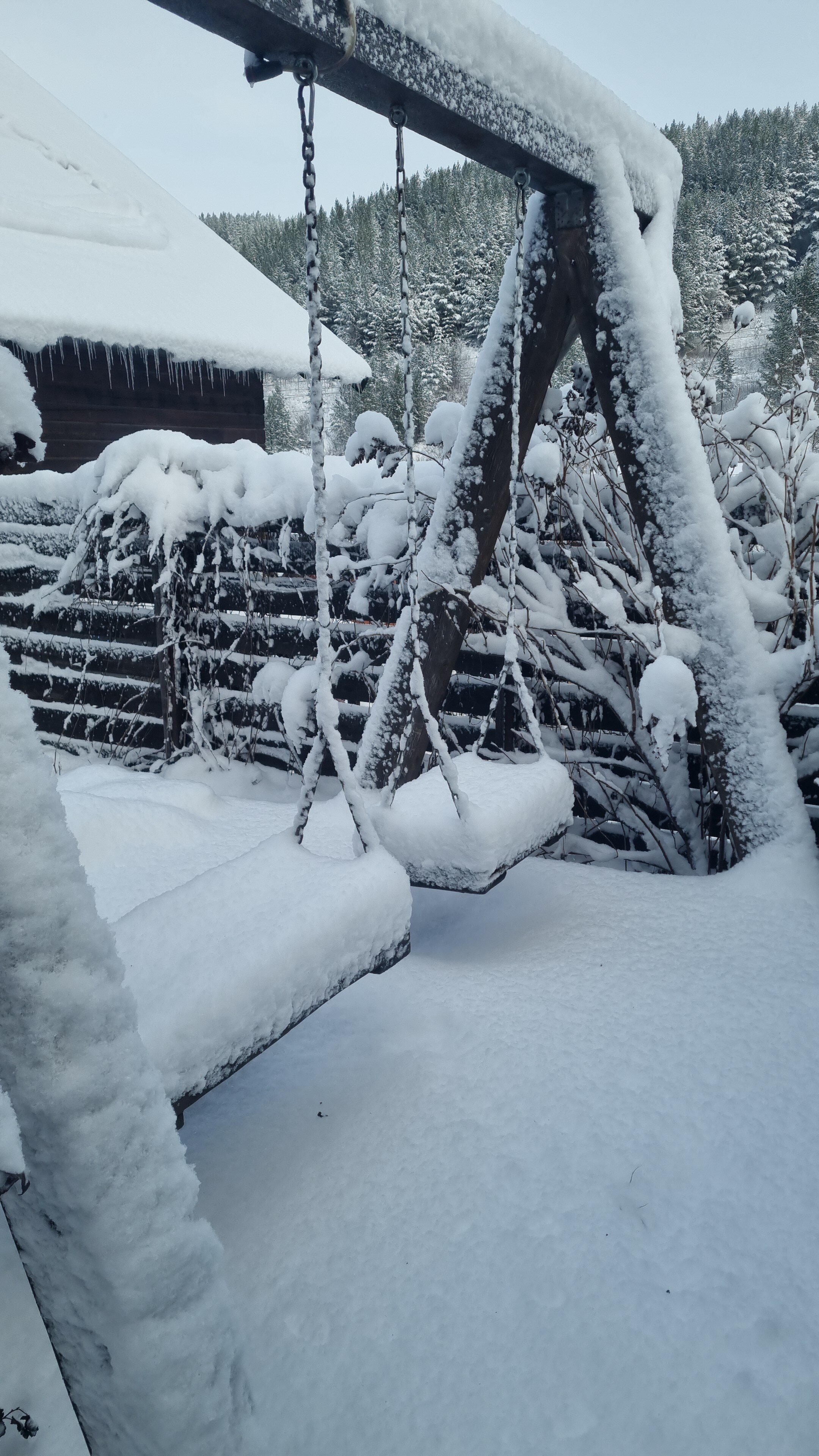 Фото Горная Пчела