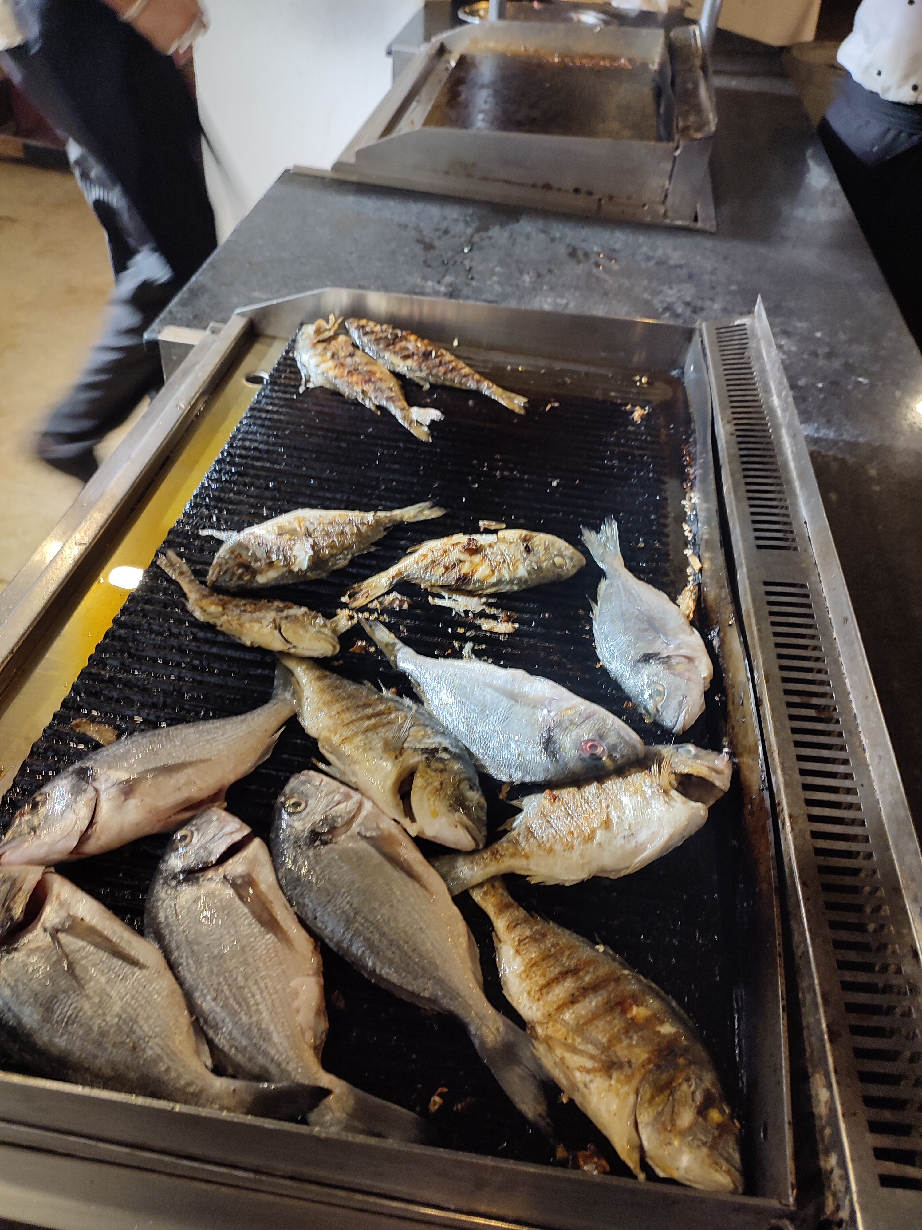 Фото PrimaSol El Mehdi