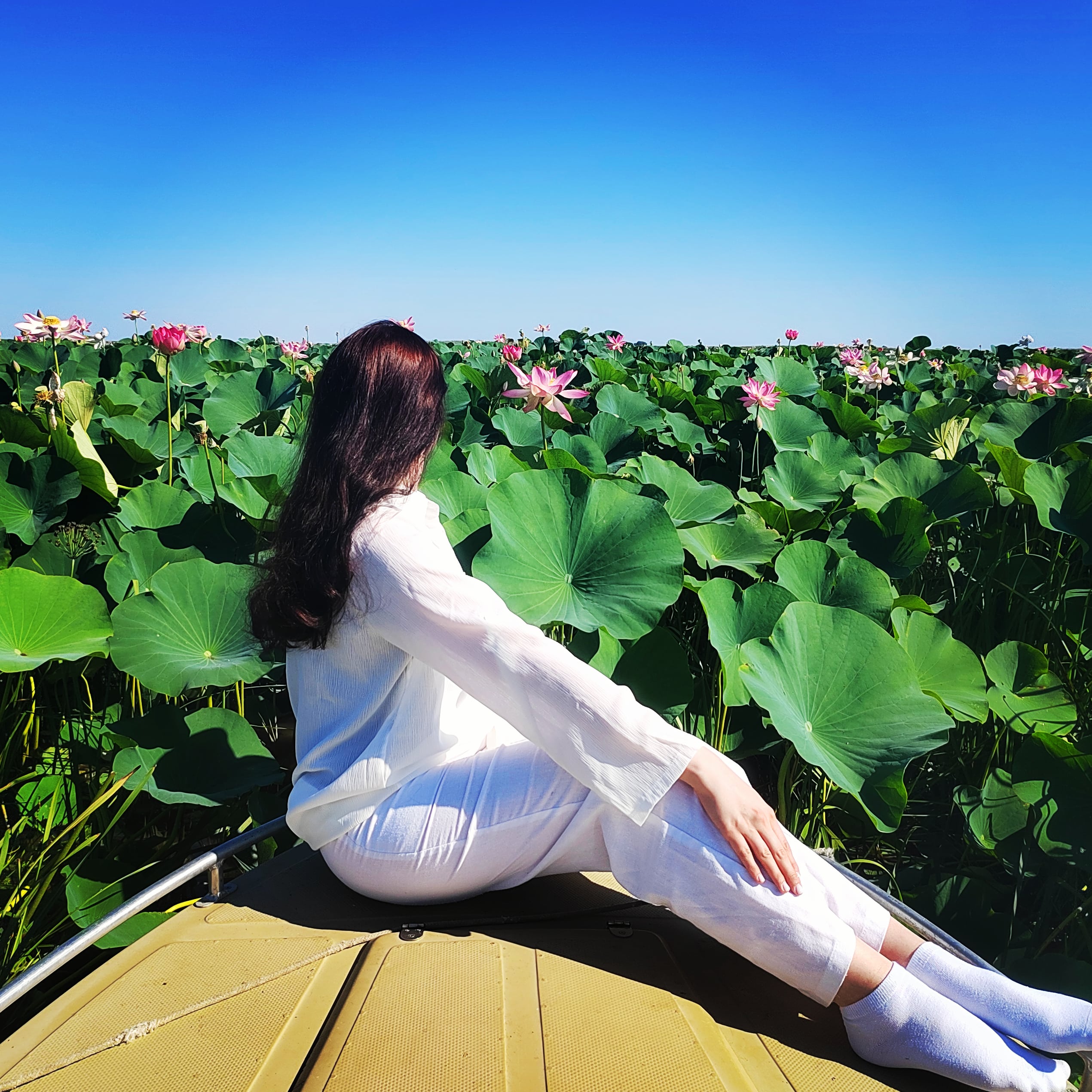 Фото River House