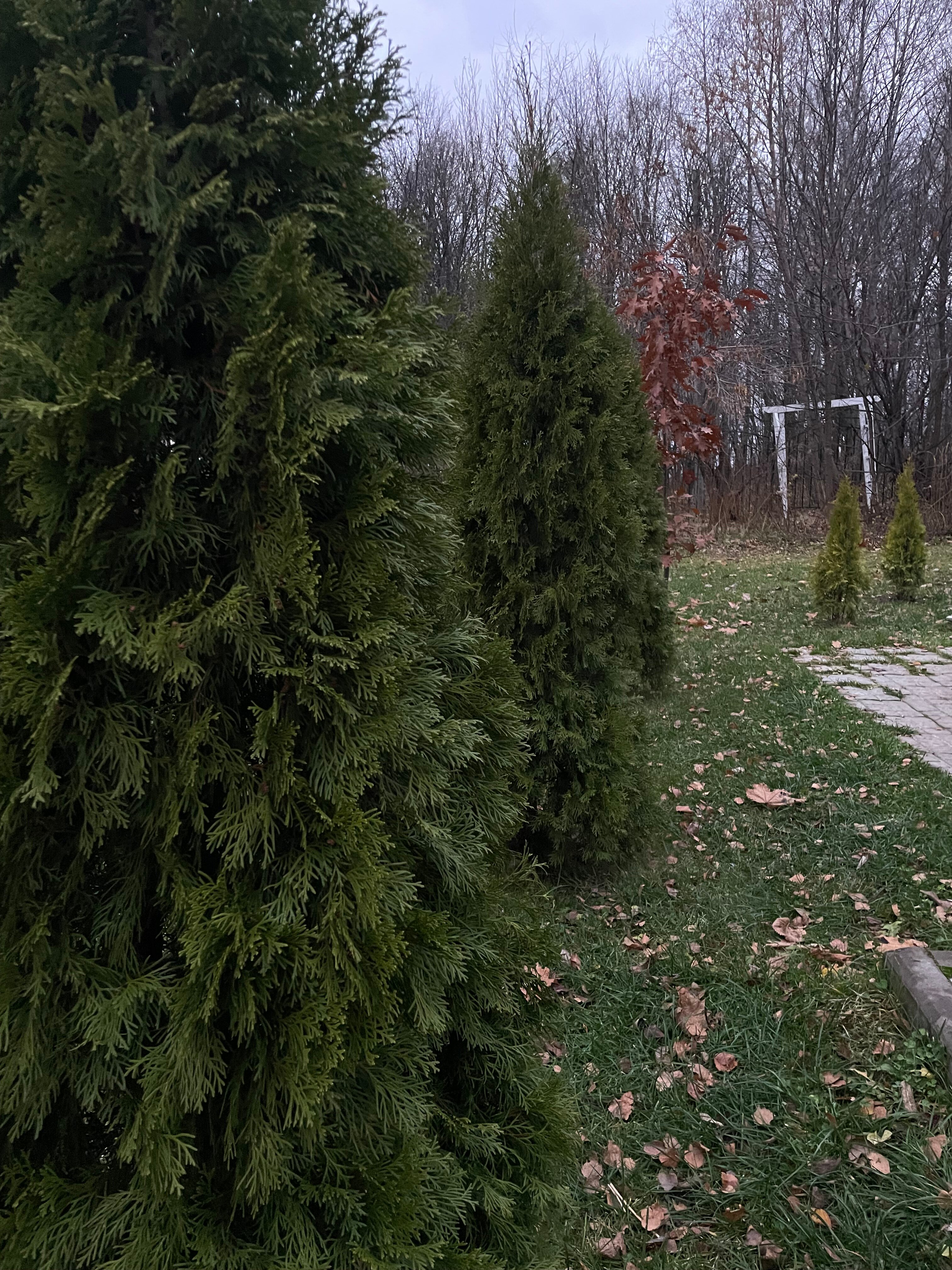 Фото Zimenkipark