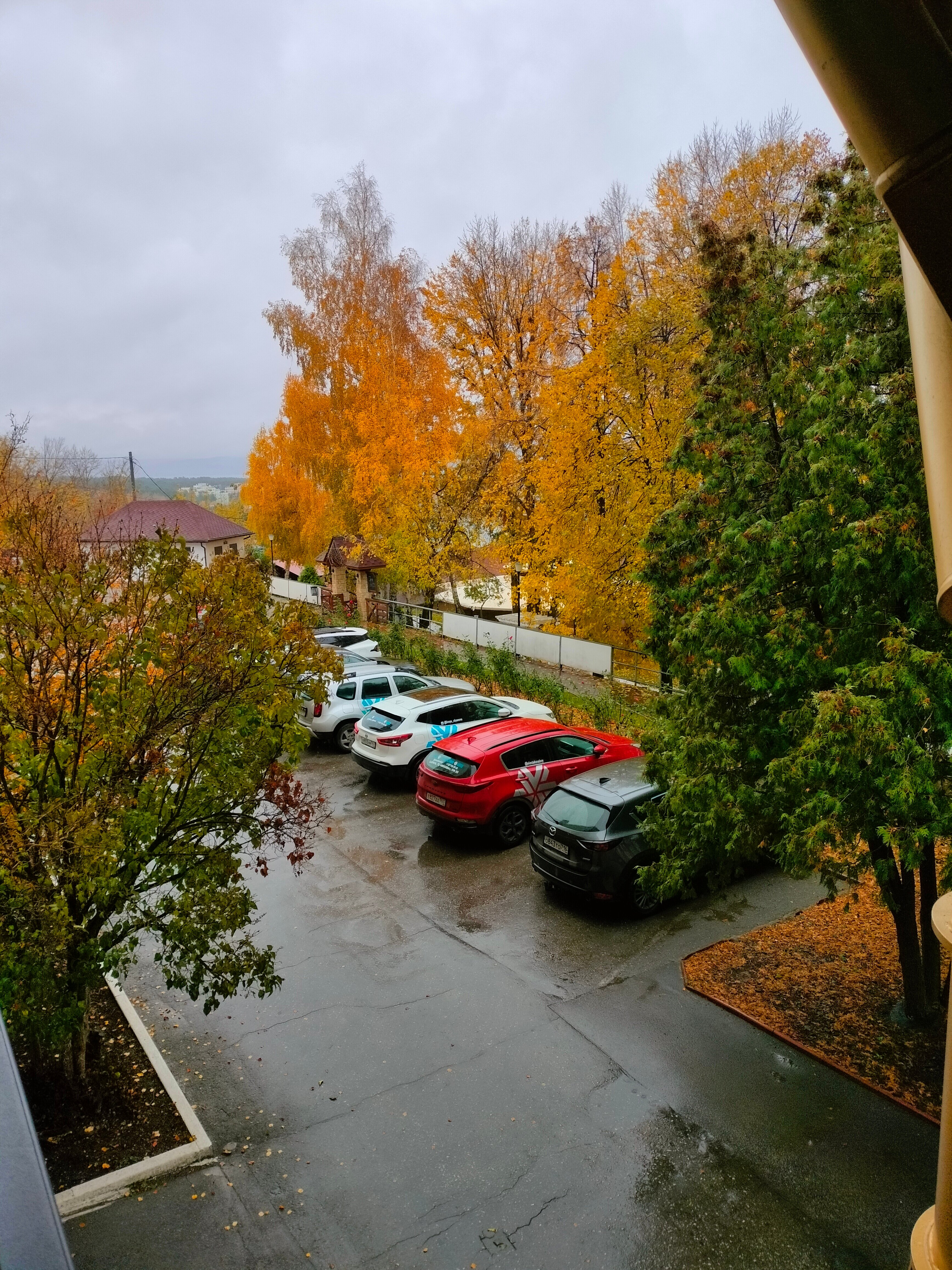 Фото Парк Отель