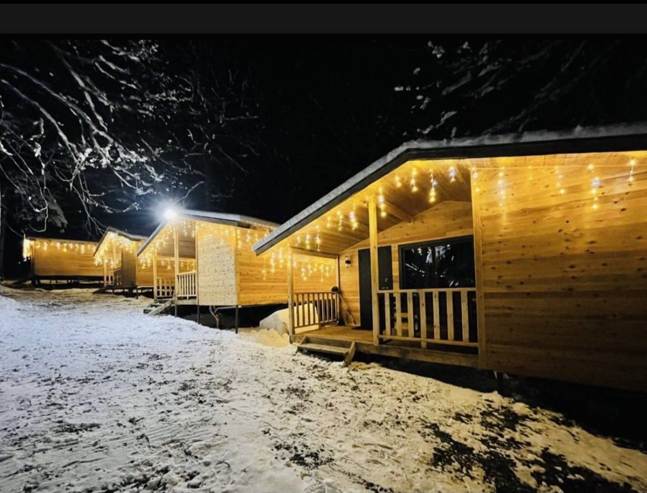 Фото Горная Мята