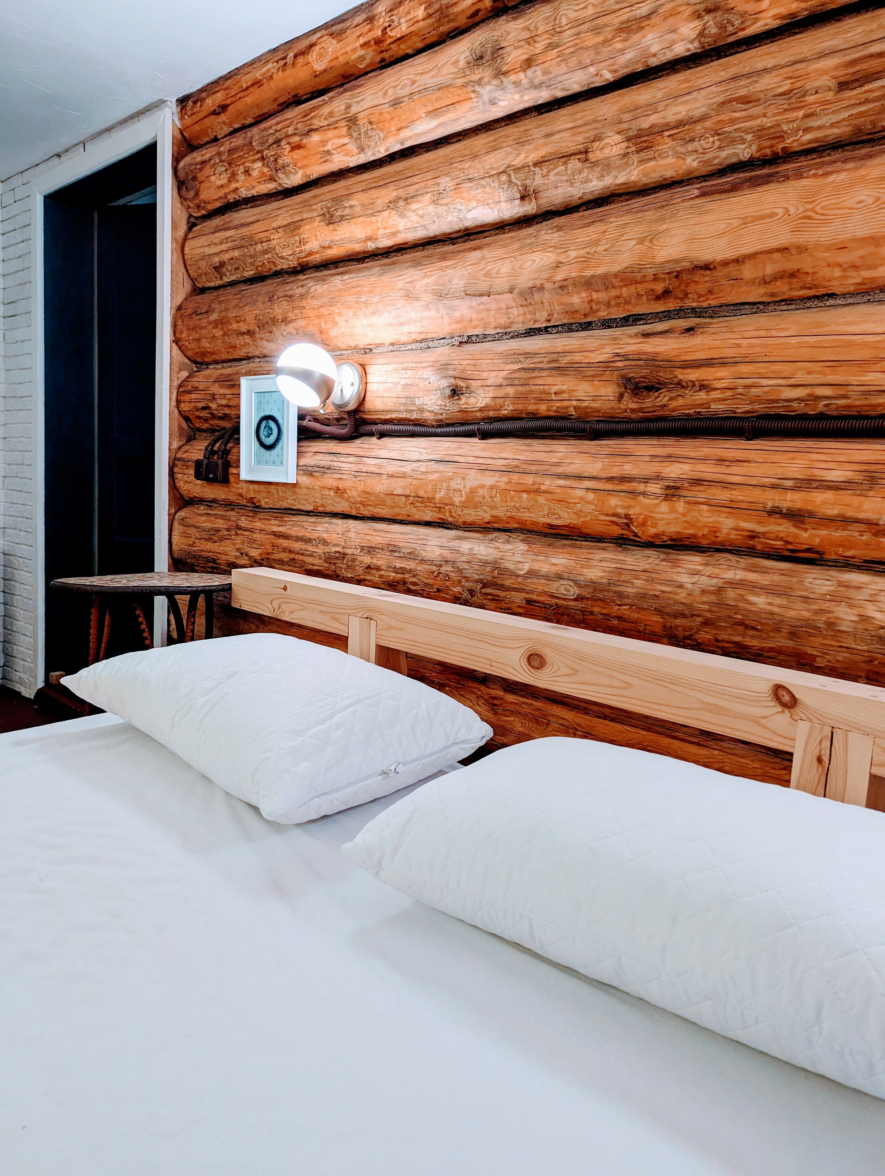 Фото Дикая Вишня