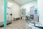 Panda (Urban-type Settlement of Nakhabino, Sovetskaya Street, 73), veterinary clinic