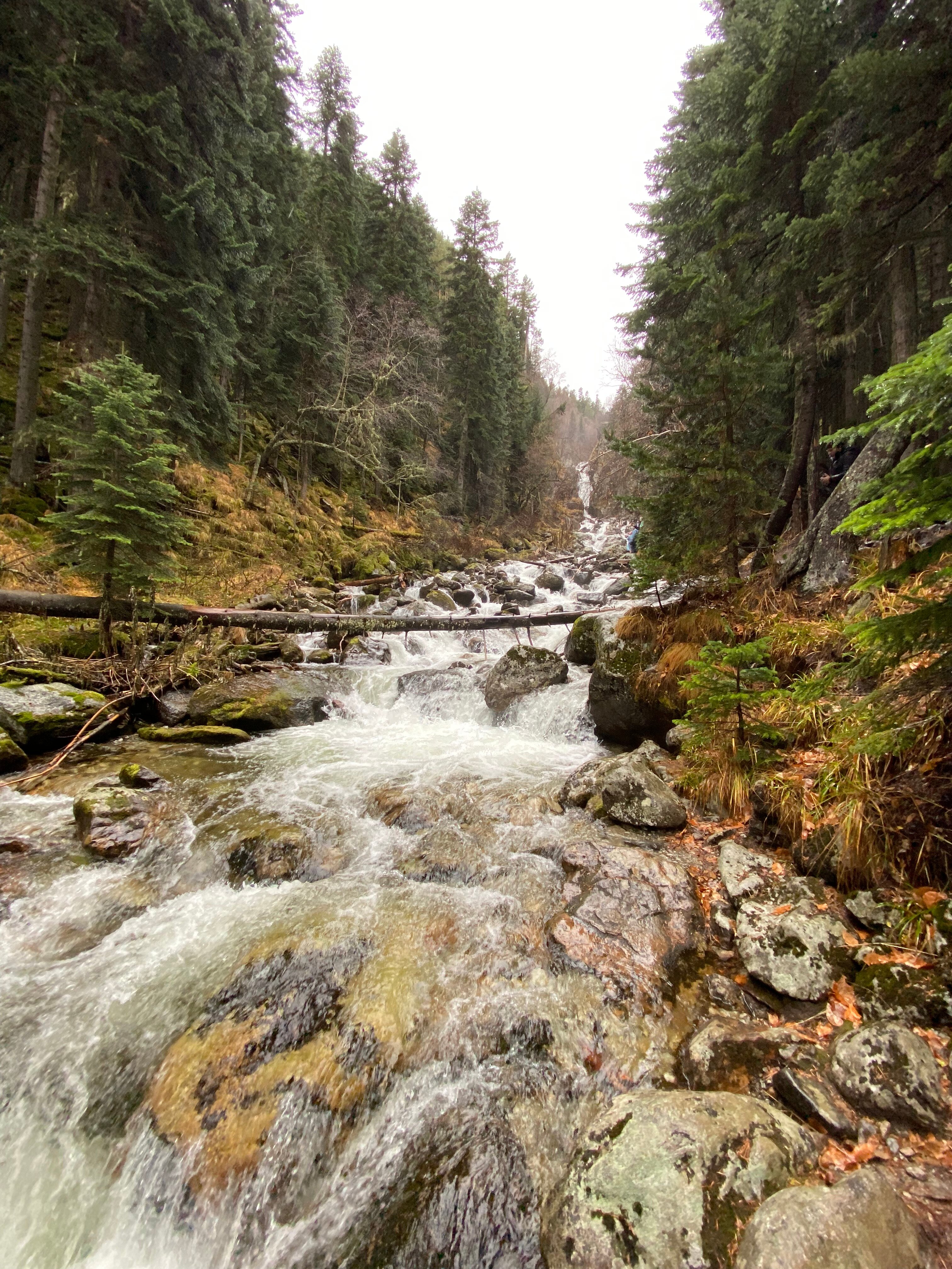 Фото Созвездие Архыза