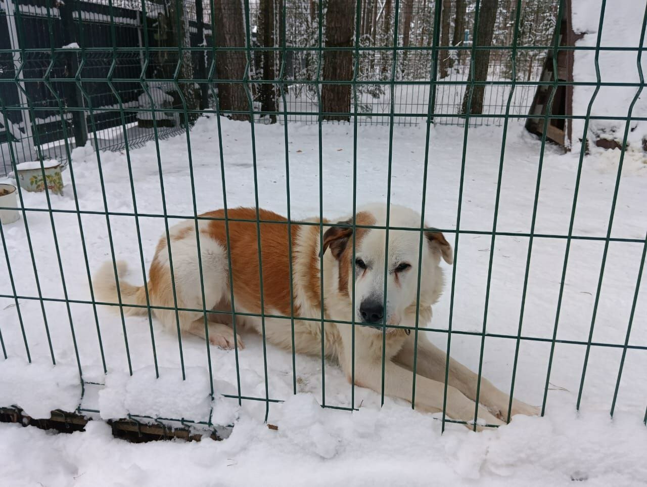 Фото Озерная